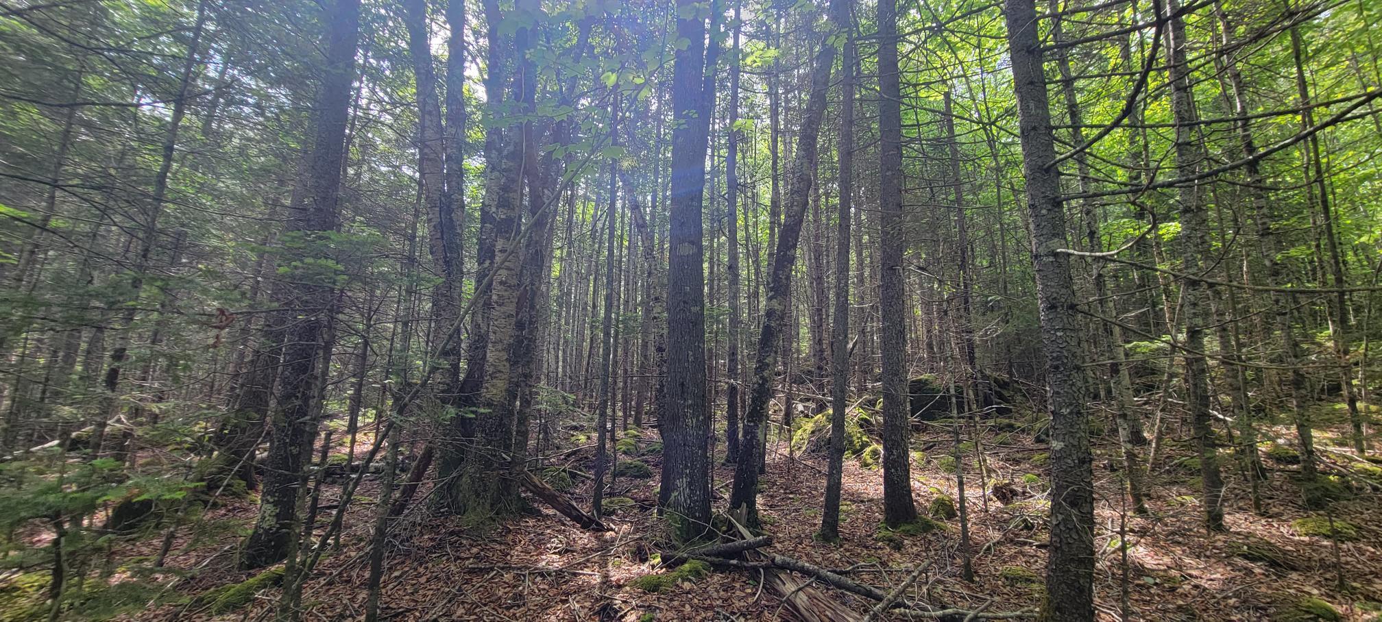 Map2Lot 20 South Bay Road