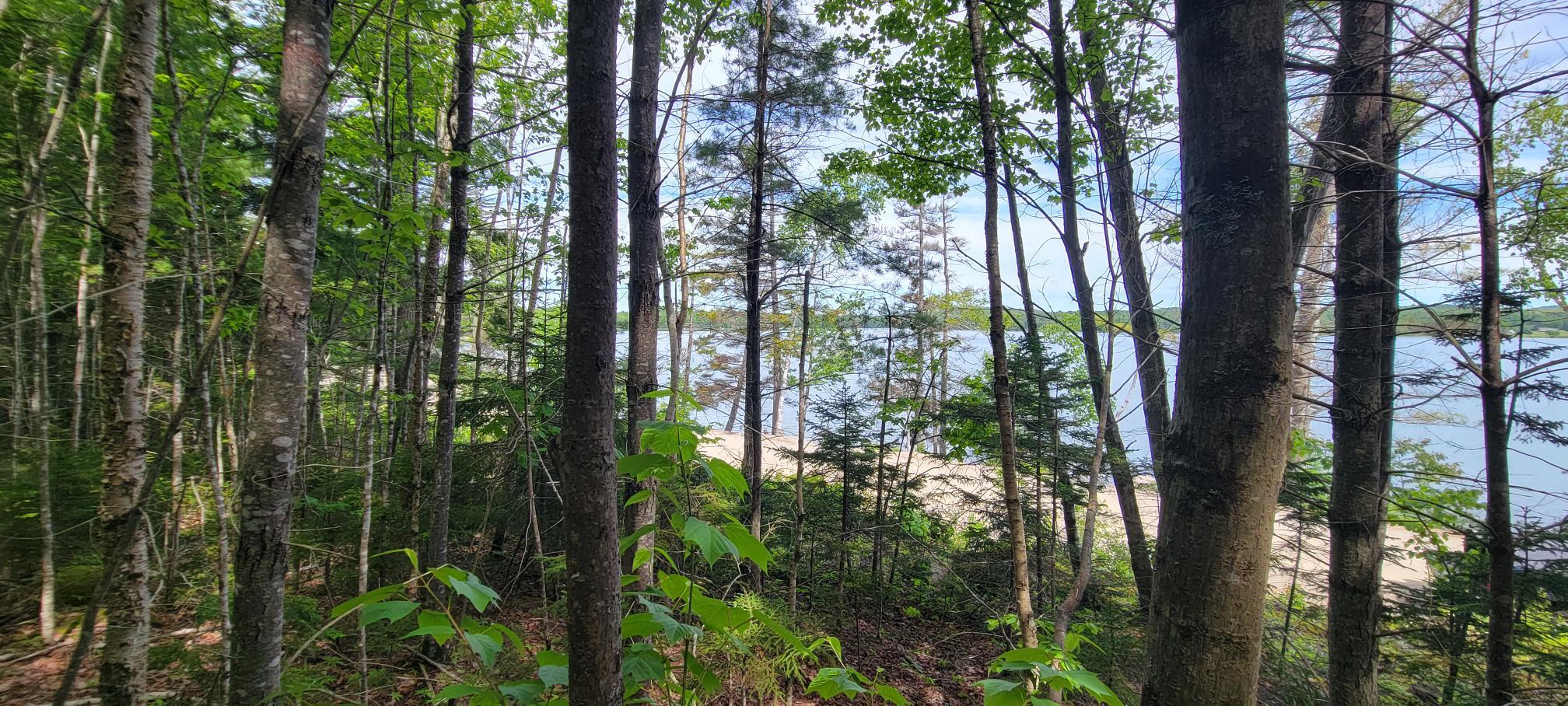 Map2Lot 20 South Bay Road