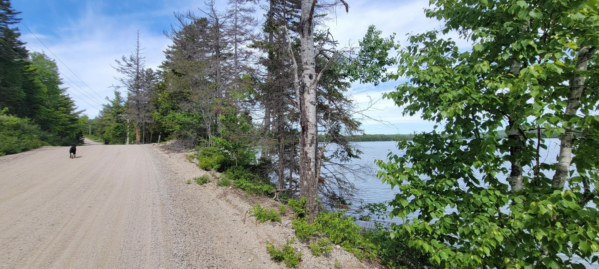 Map2Lot 20 South Bay Road