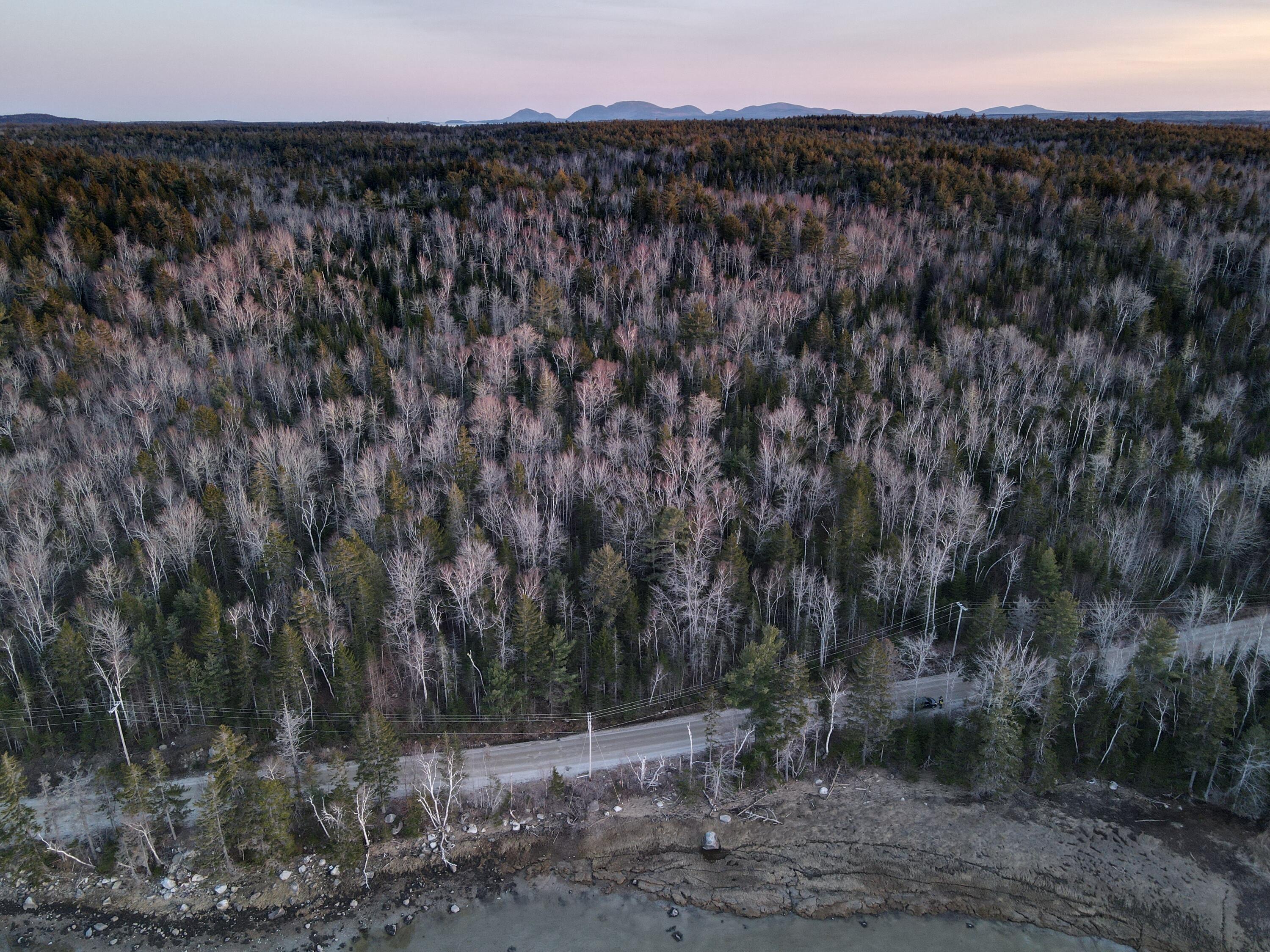 Map2Lot 20 South Bay Road