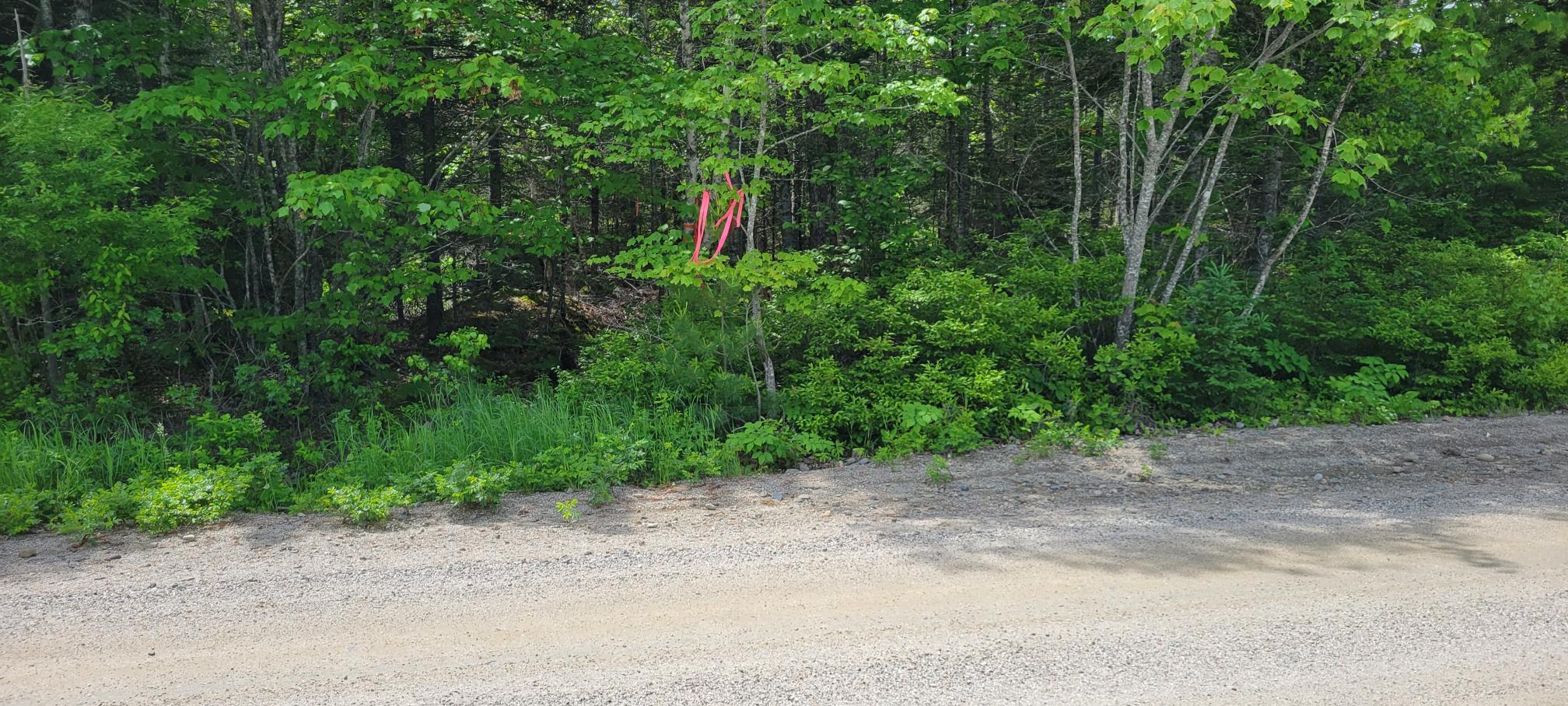 Map2Lot 20 South Bay Road