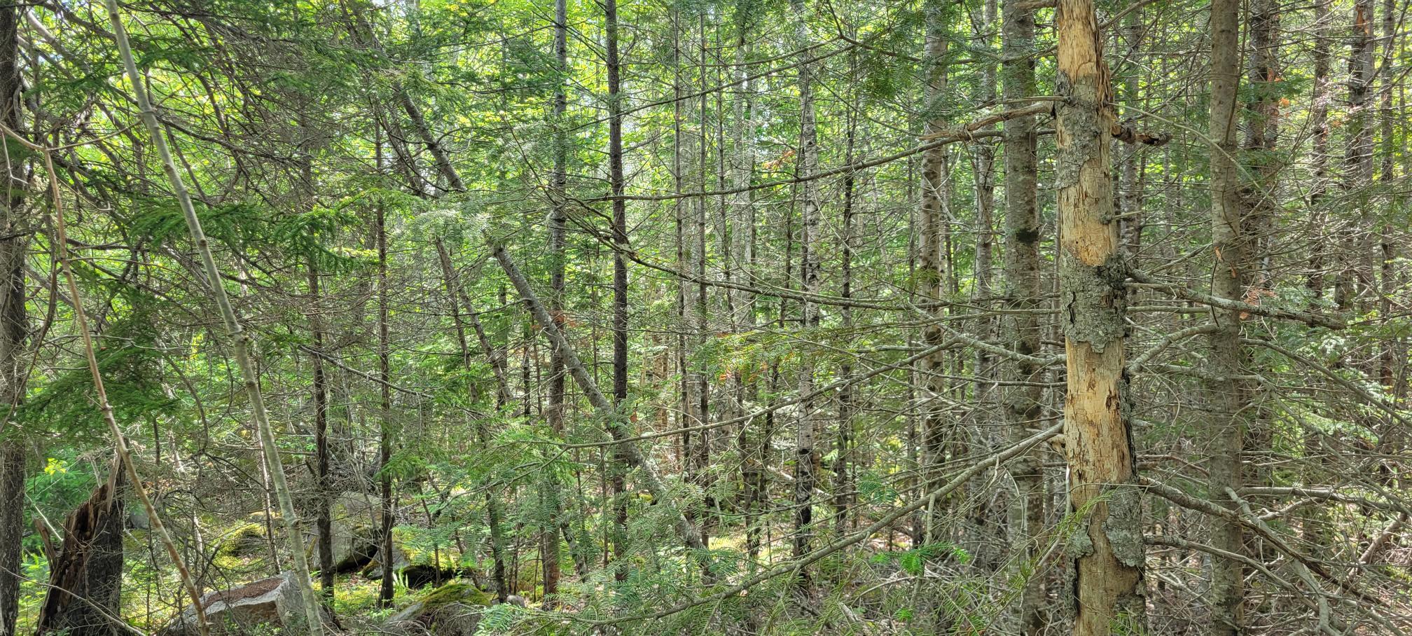 Map2Lot 20 South Bay Road