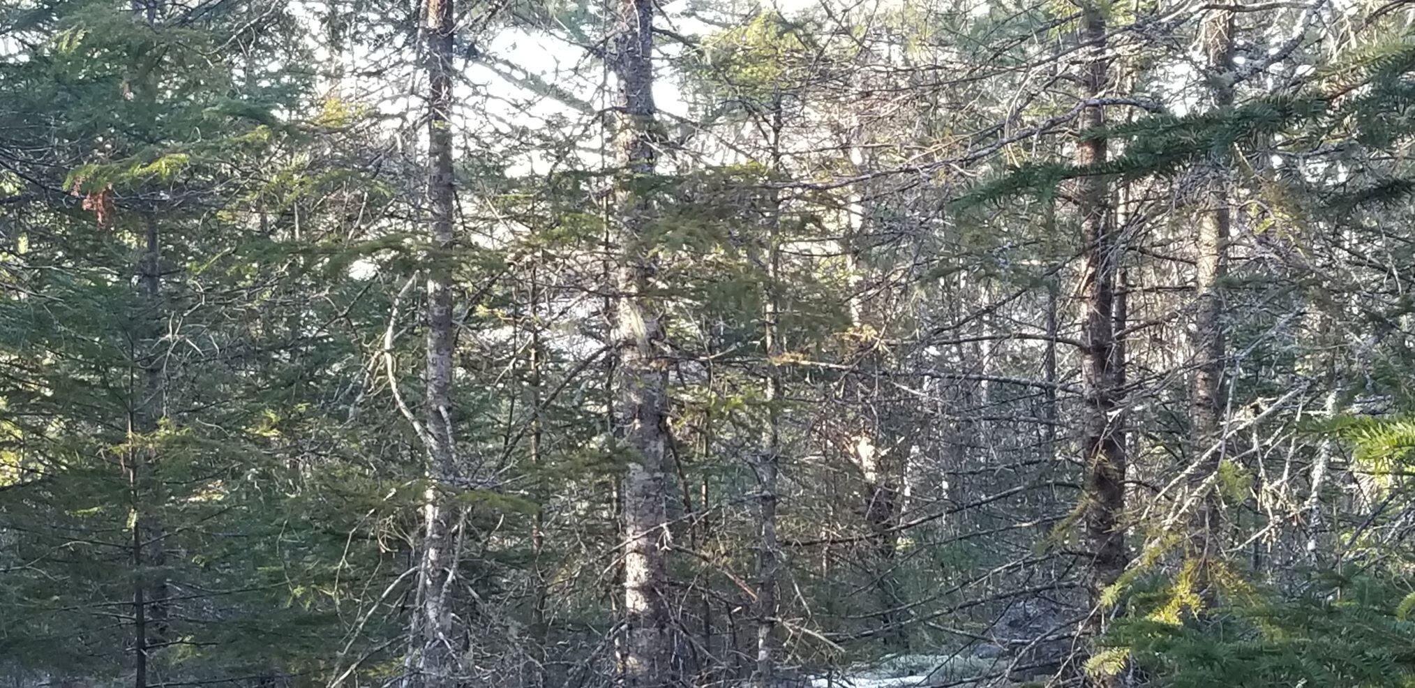 Map2Lot 20 South Bay Road