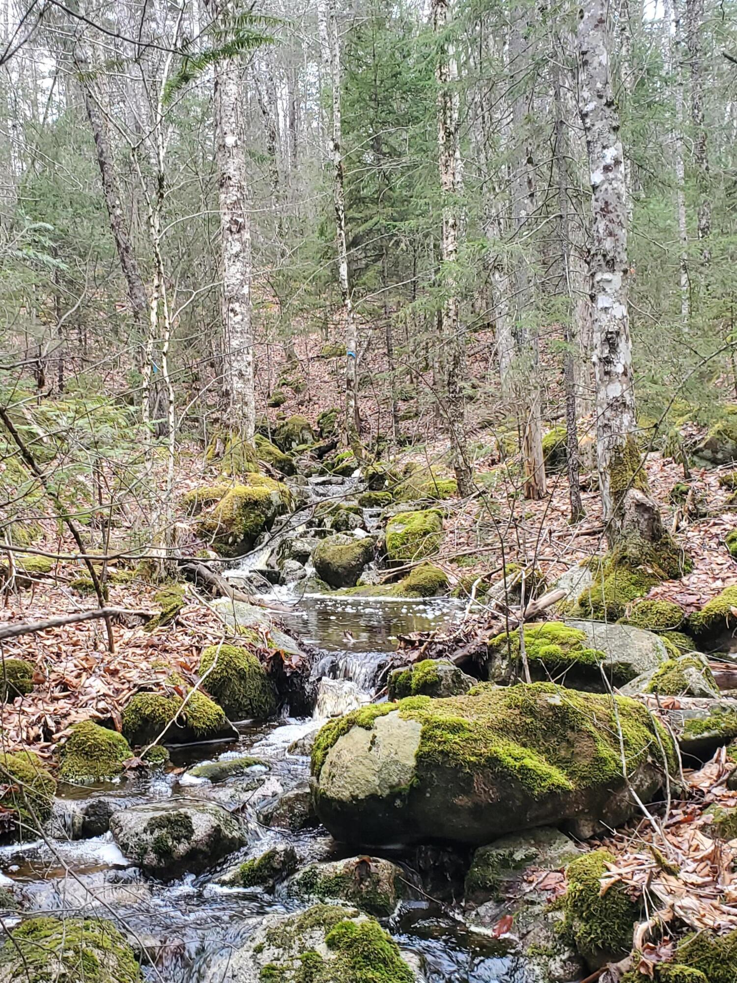 Map2Lot 20 South Bay Road