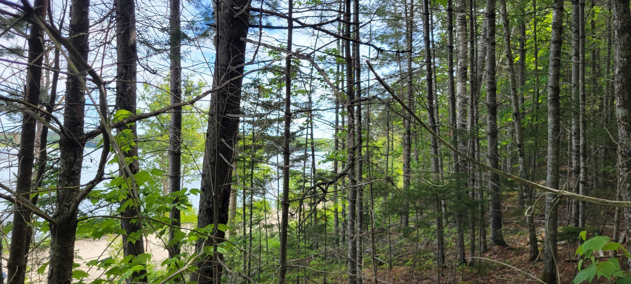 Map2Lot 20 South Bay Road