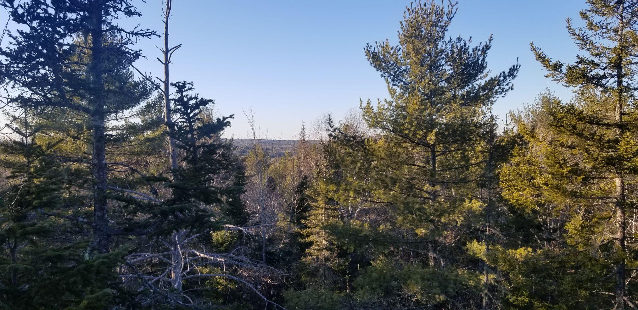 Map2Lot 20 South Bay Road