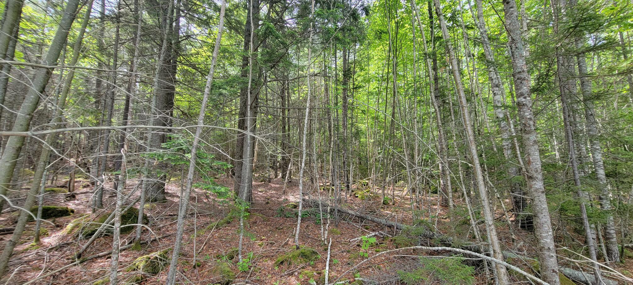 Map2Lot 20 South Bay Road