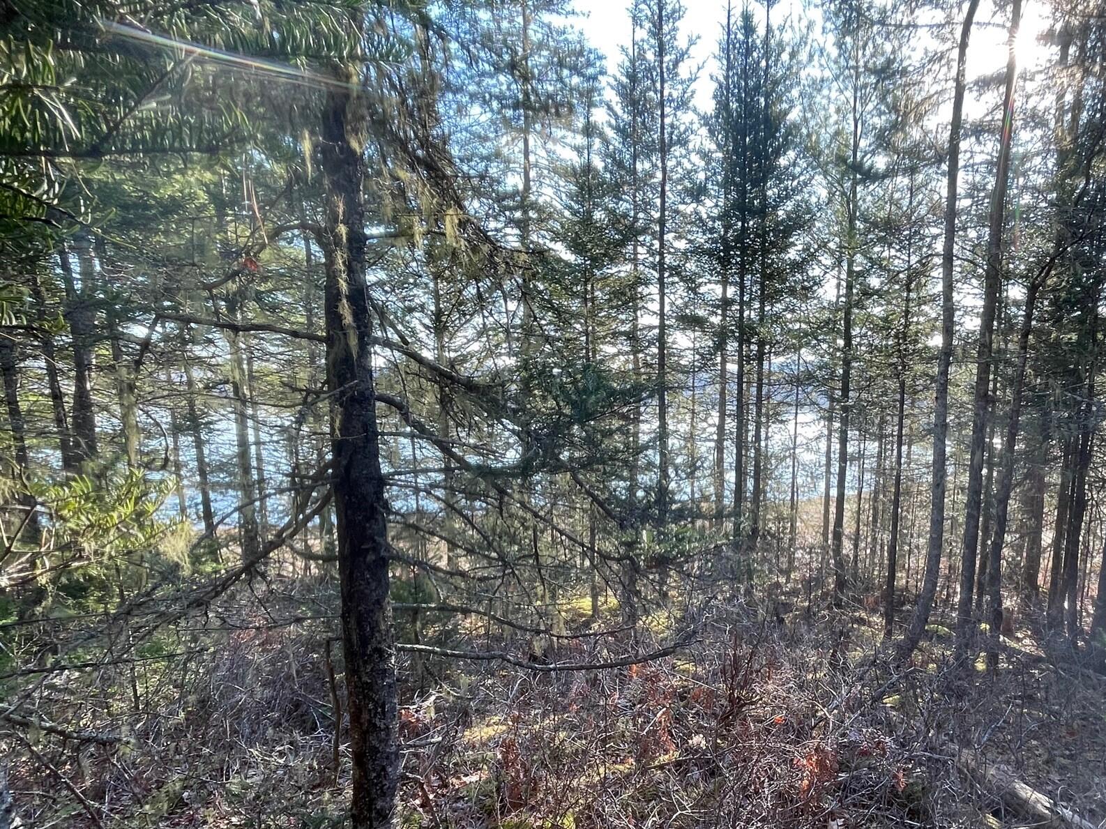 Map2Lot 20 South Bay Road
