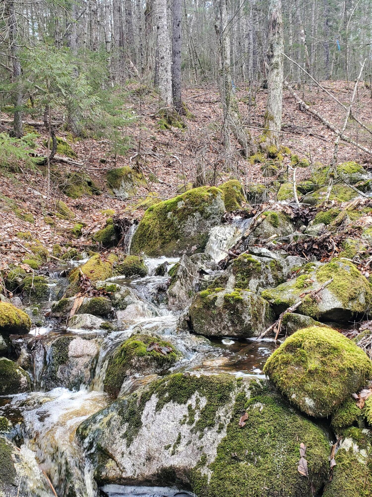 Map2Lot 20 South Bay Road