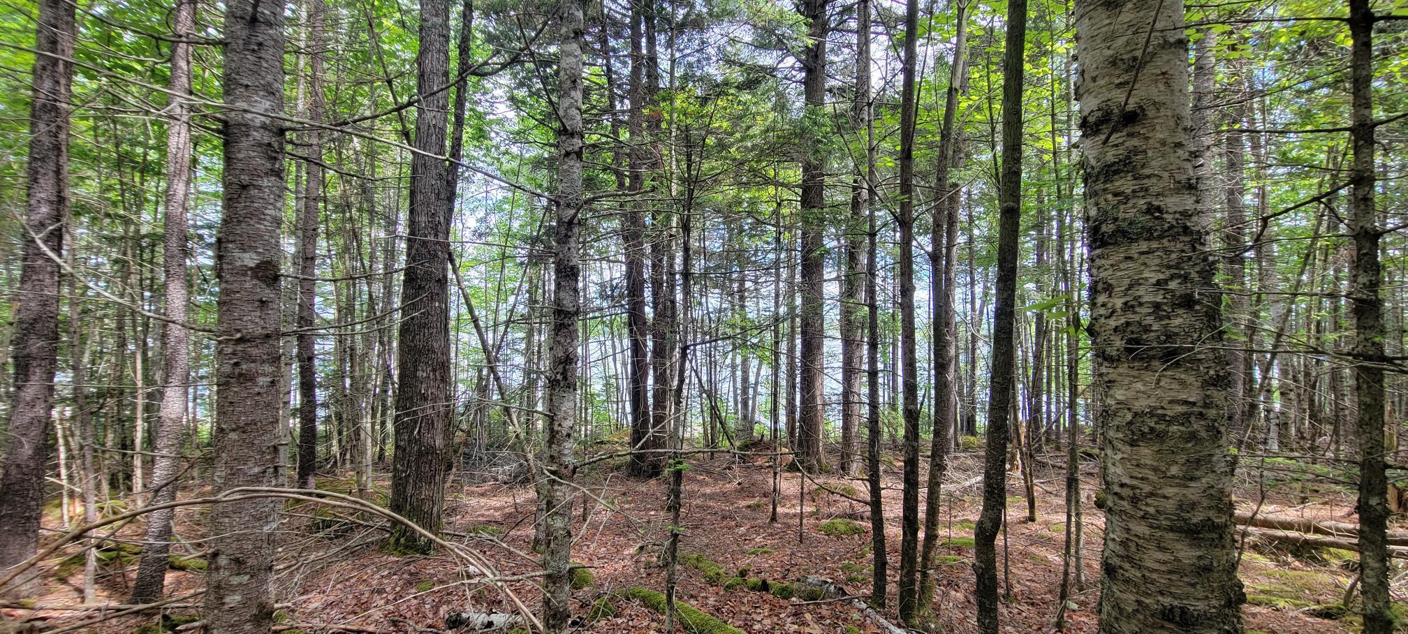 Map2Lot 20 South Bay Road