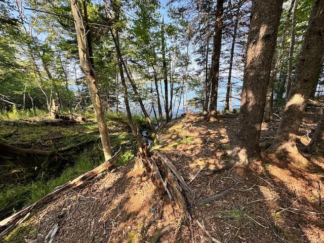 118 Loon Cove Lane