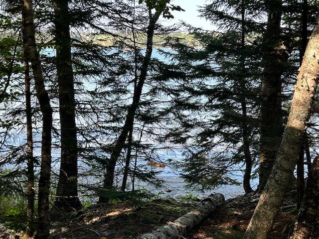 118 Loon Cove Lane