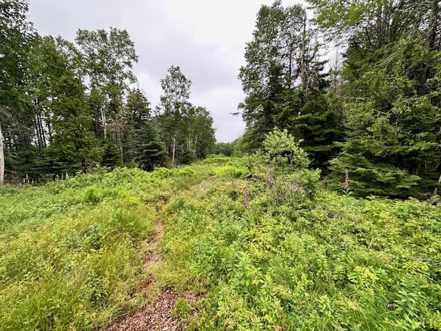118 Loon Cove Lane