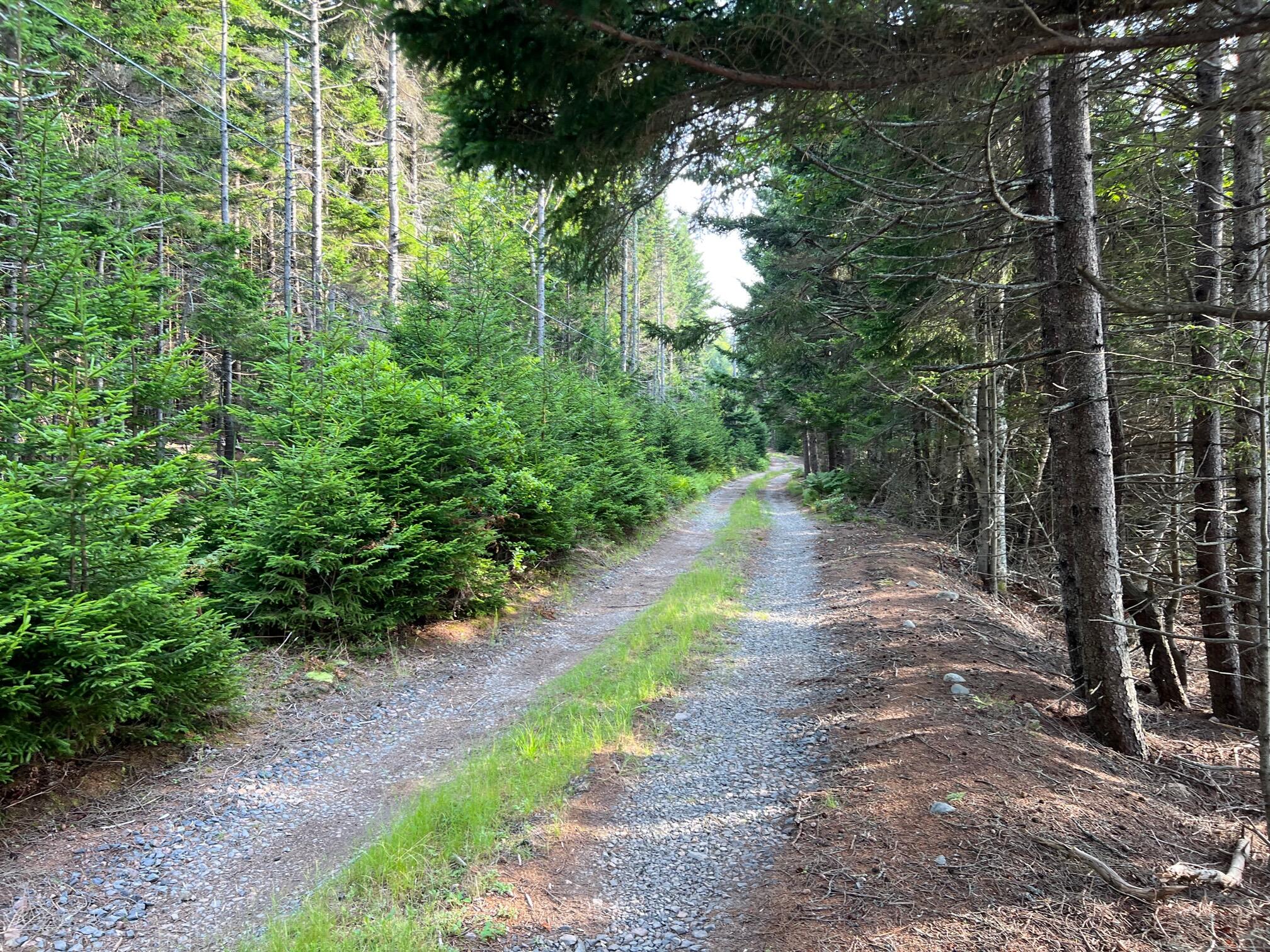 41 Coveside Road