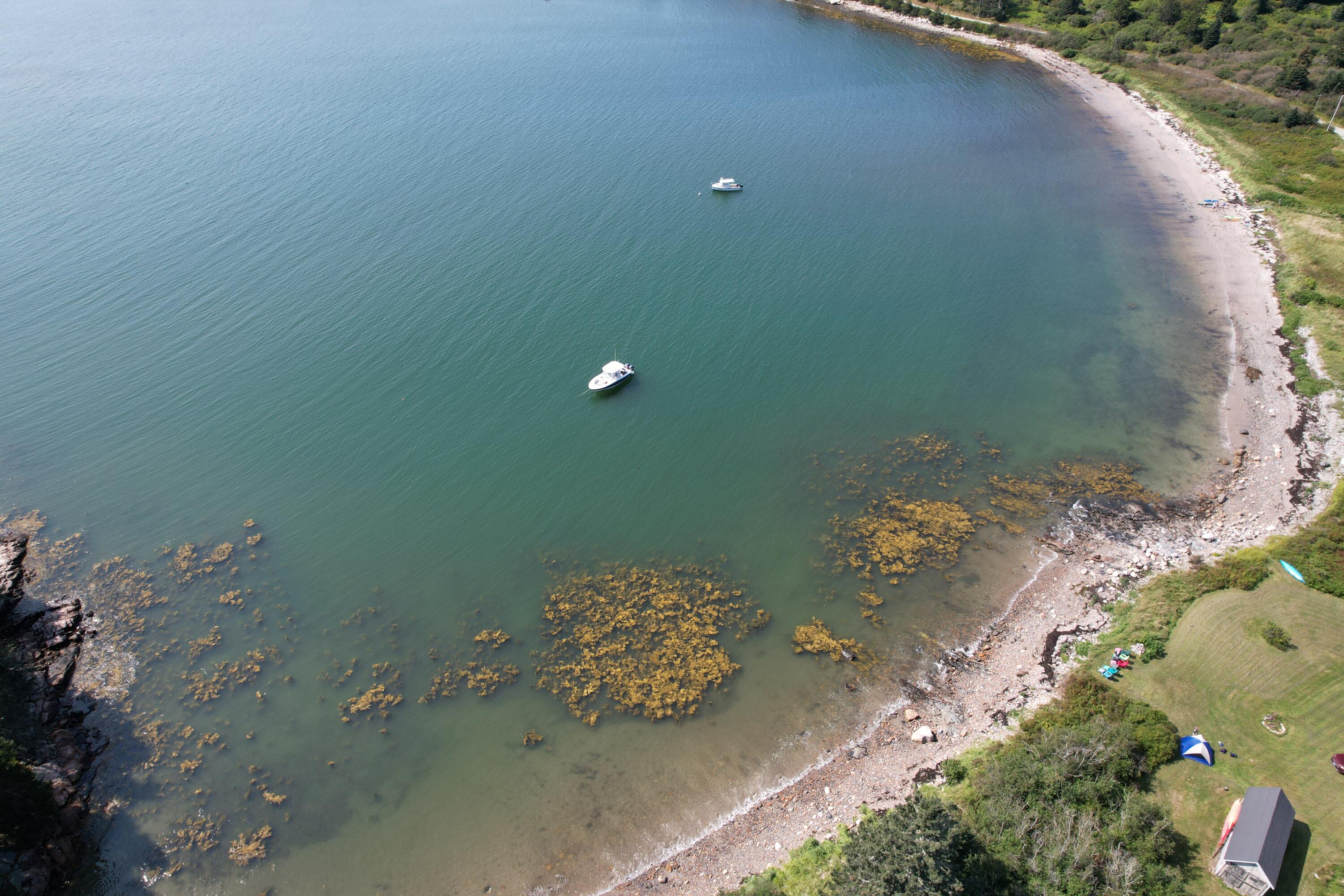 41 Coveside Road
