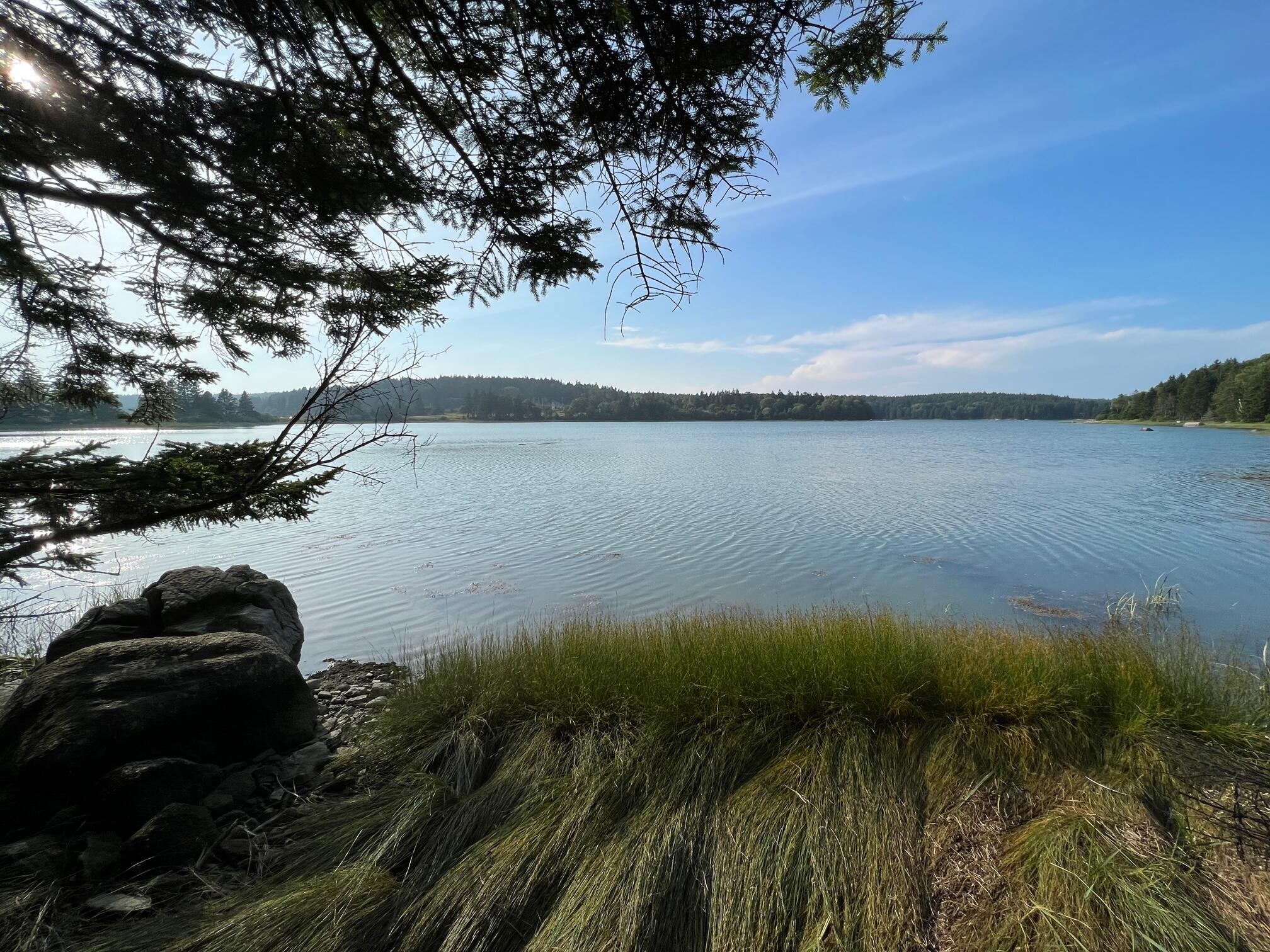 41 Coveside Road