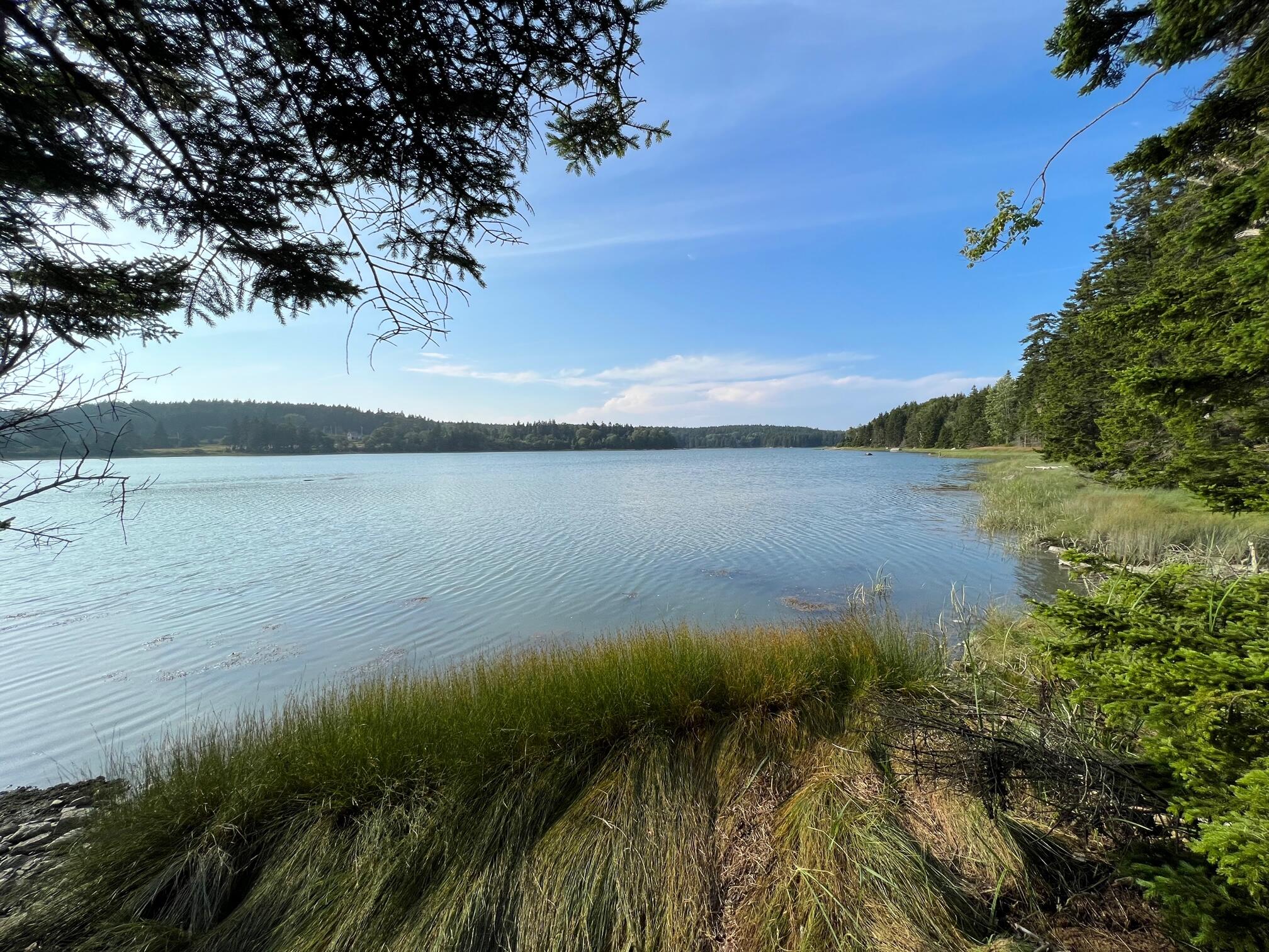 41 Coveside Road