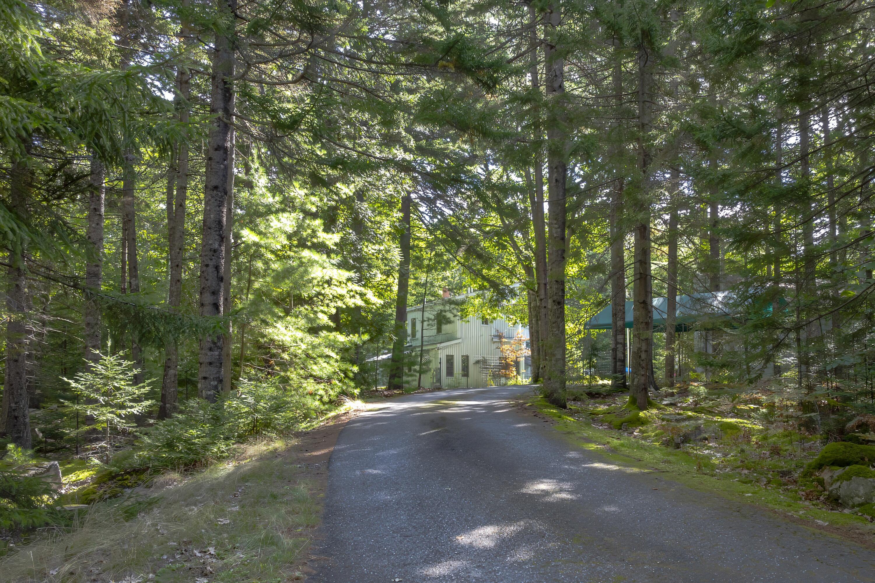 29 Whitney Farm Rd