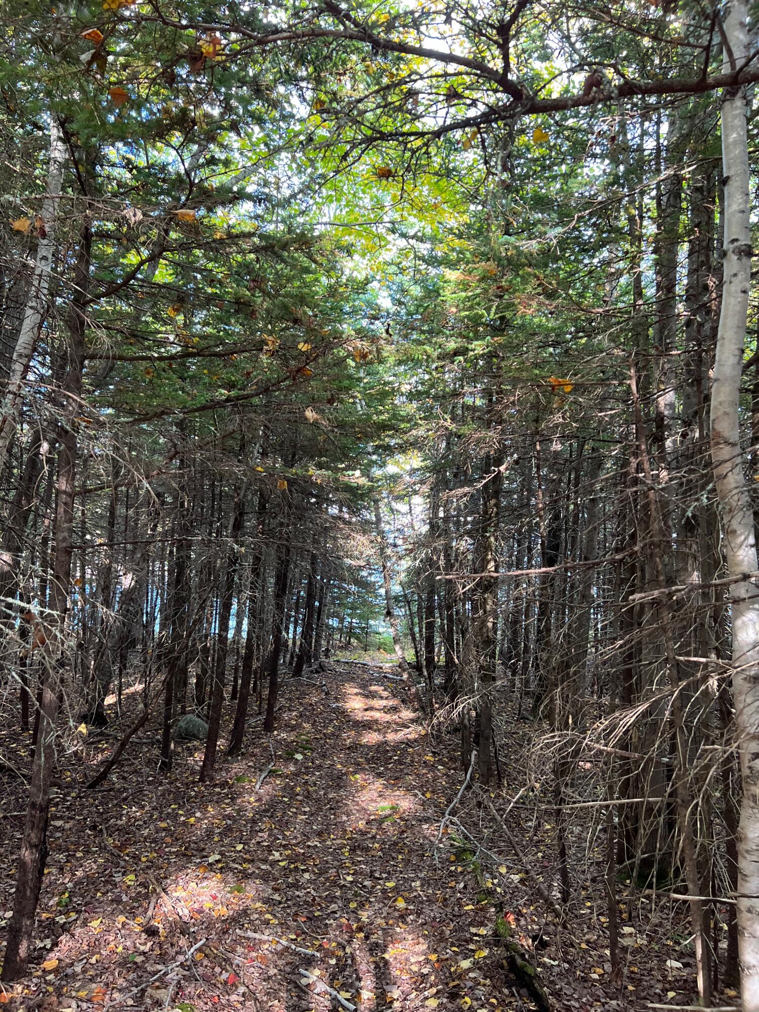 472 Schooner Head Road