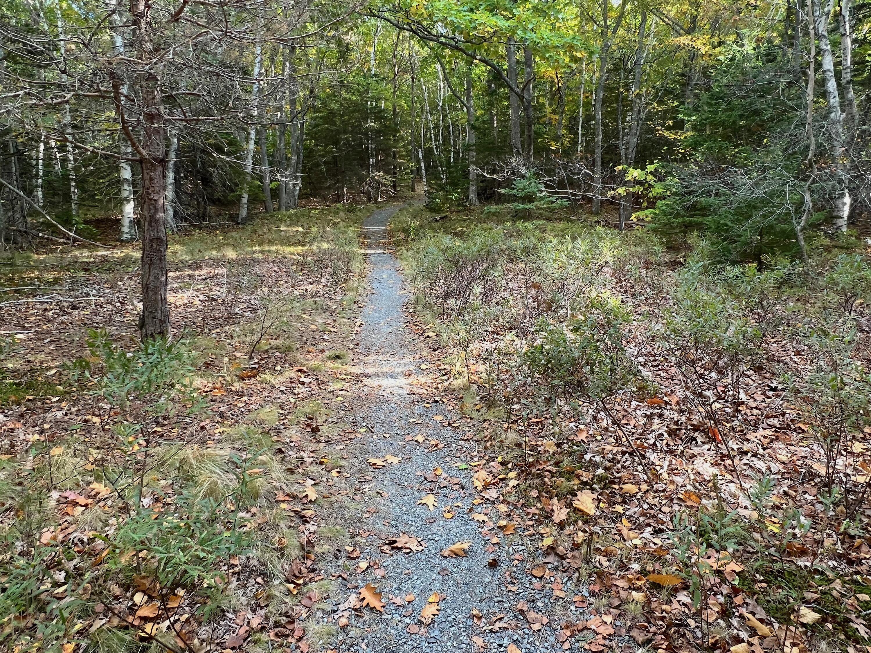 472 Schooner Head Road