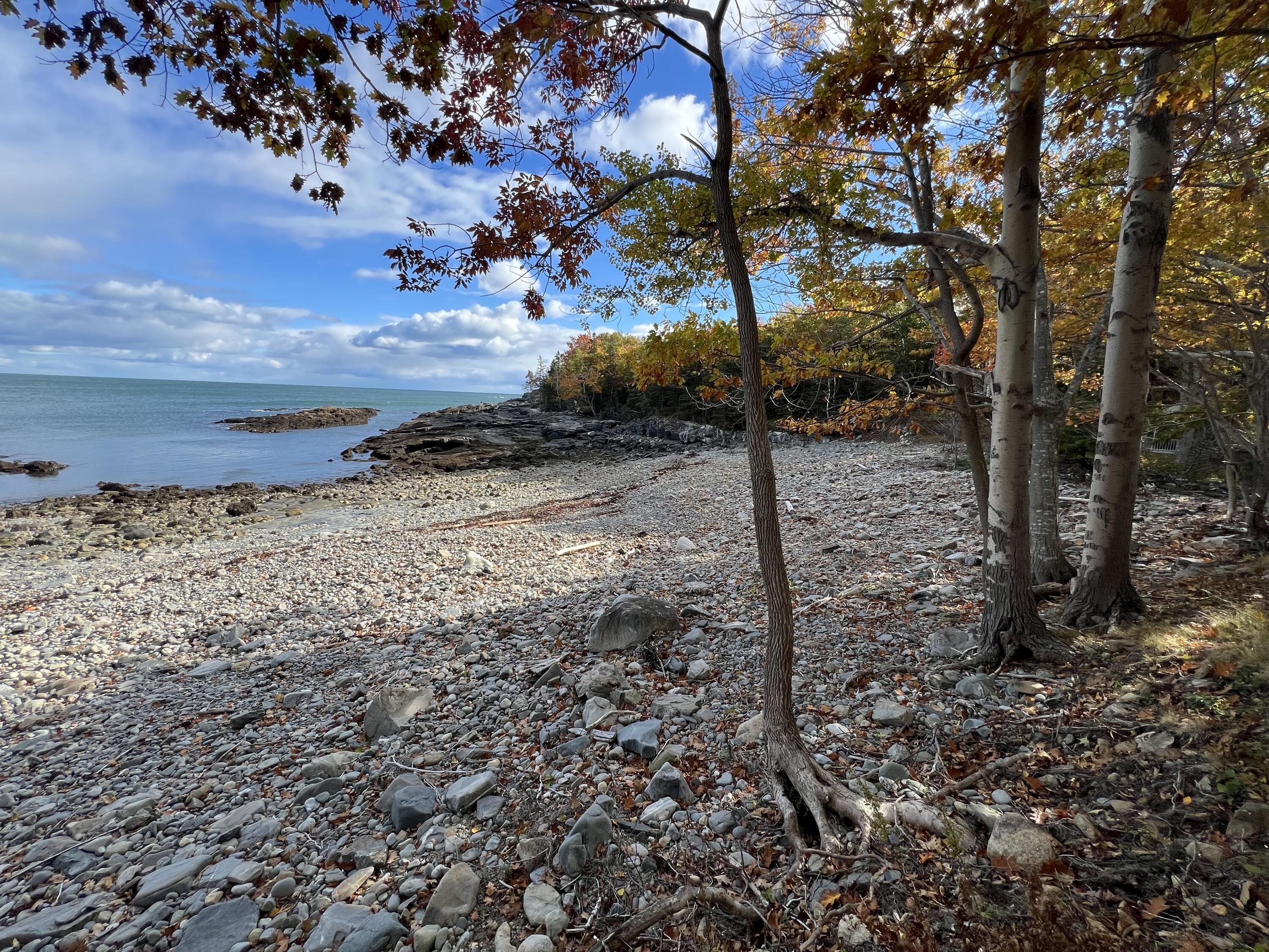 472 Schooner Head Road