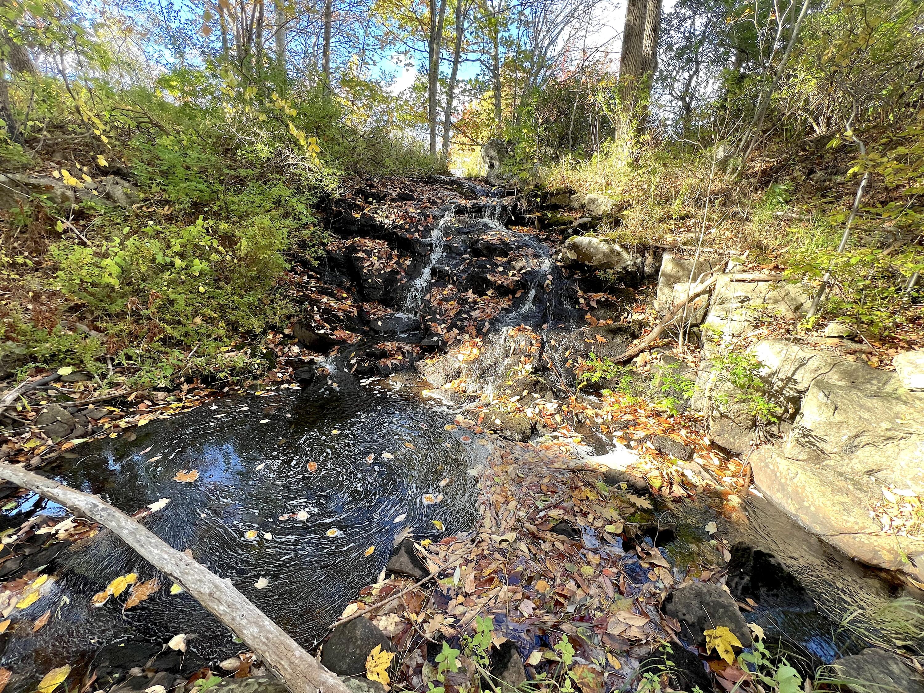 472 Schooner Head Road