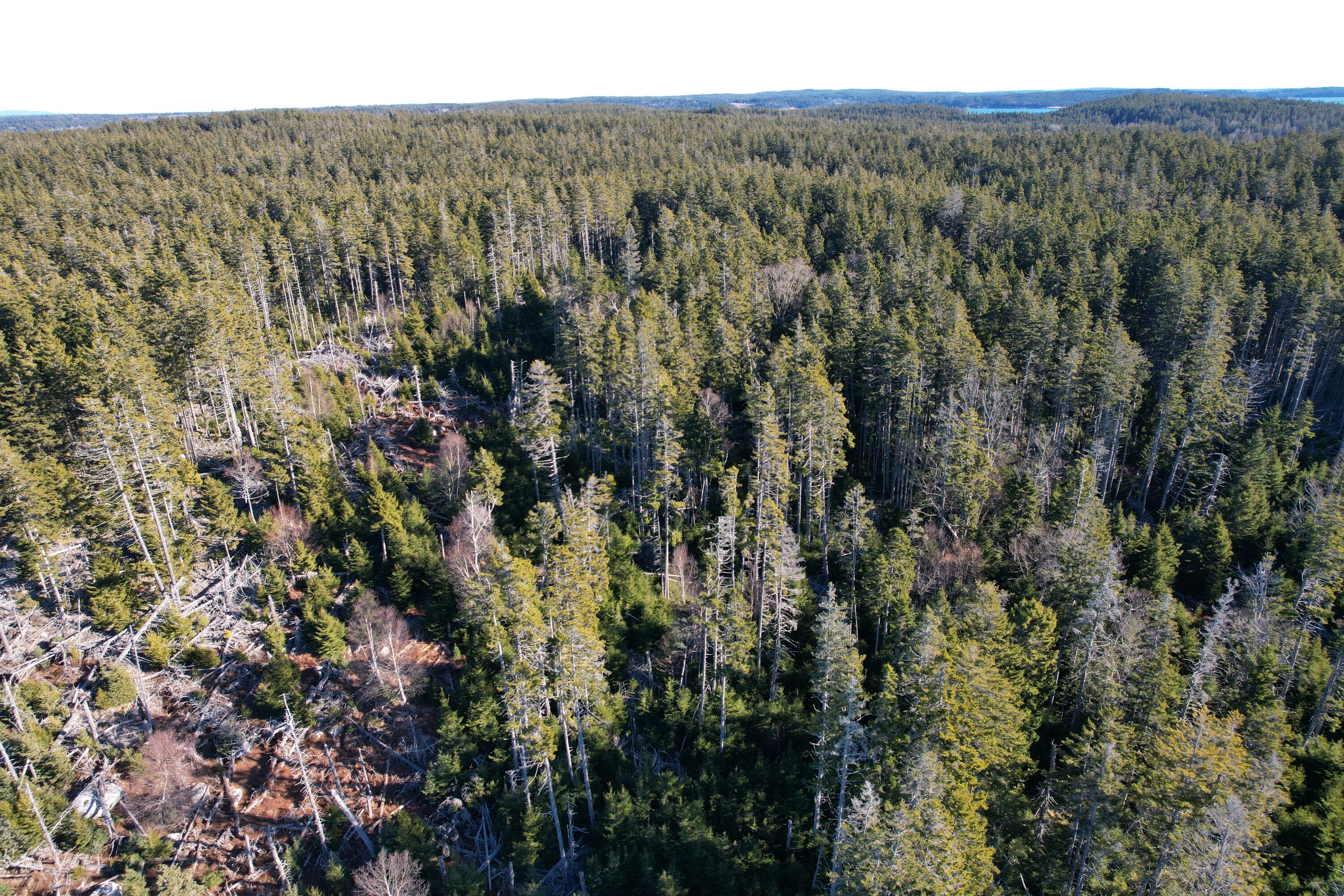 Lot 3 Jericho Bay Road