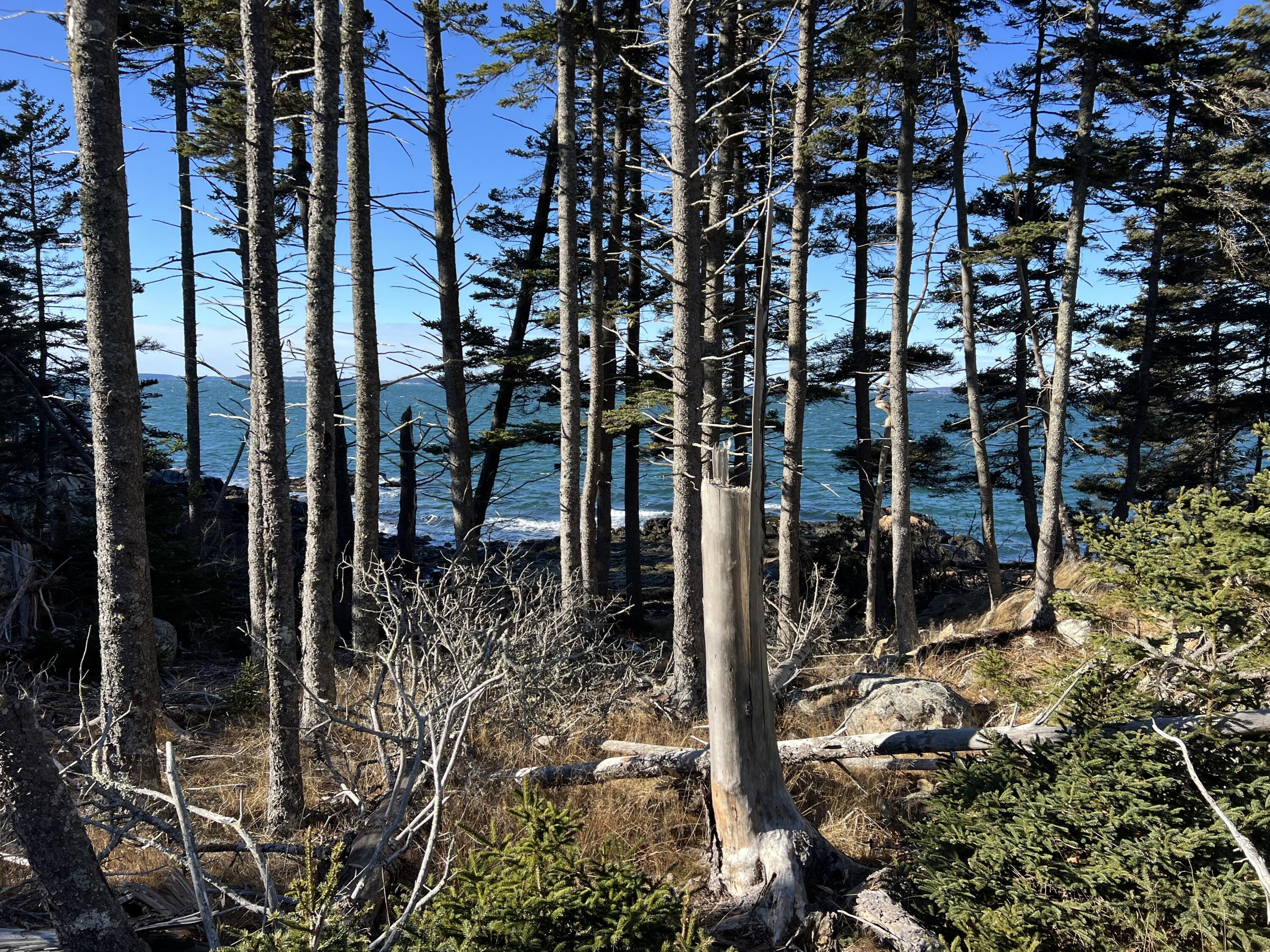 Lot 3 Jericho Bay Road