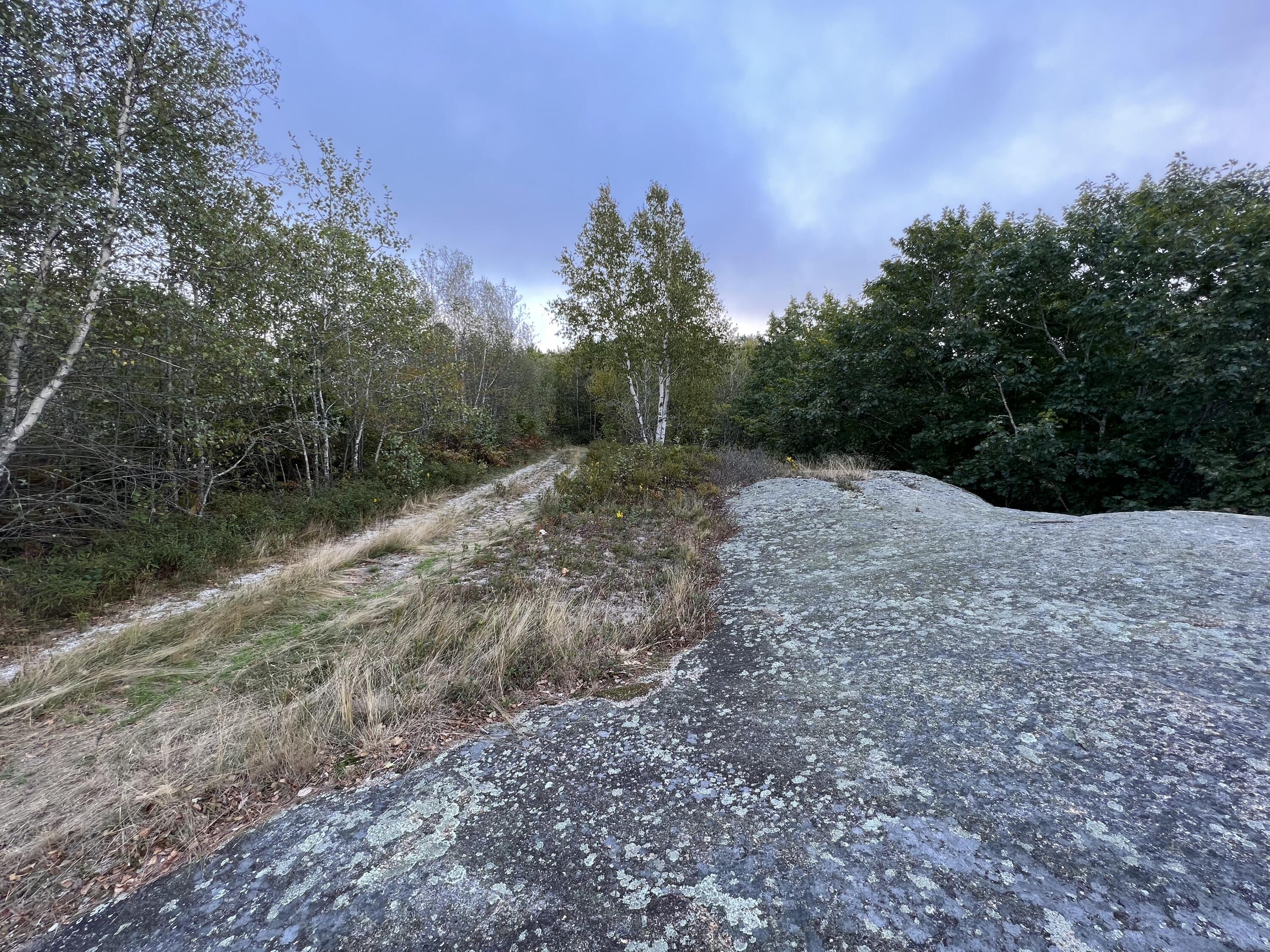 0 Blackswoods lot 28.1 Road