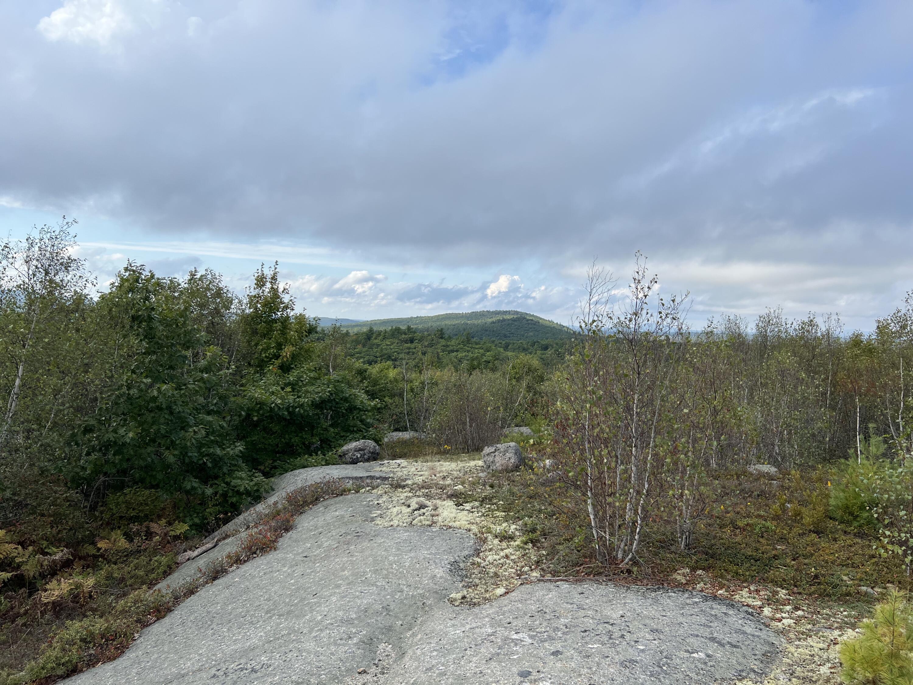 0 Blackswoods lot 28.1 Road