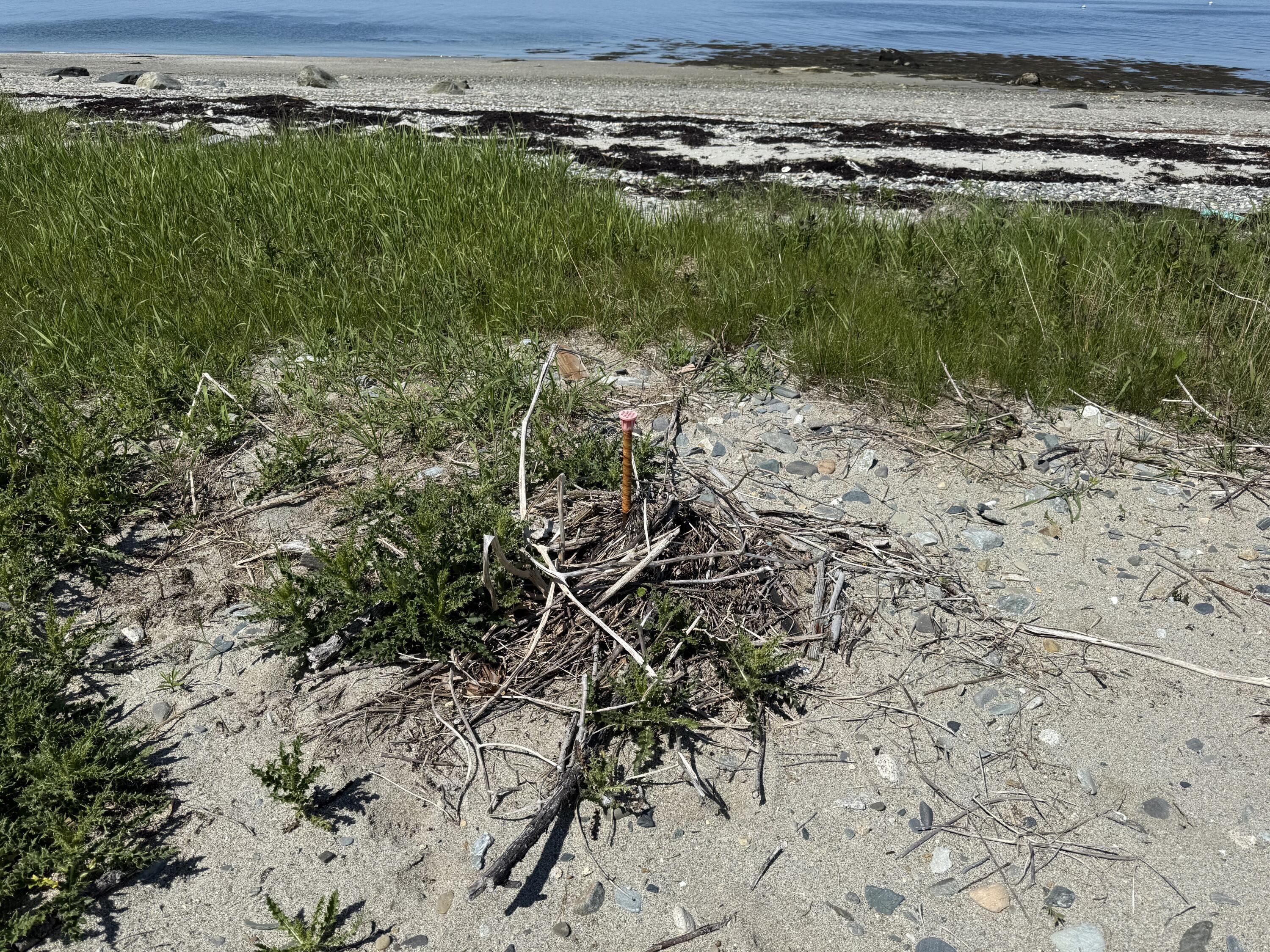 2 Bar Island Island