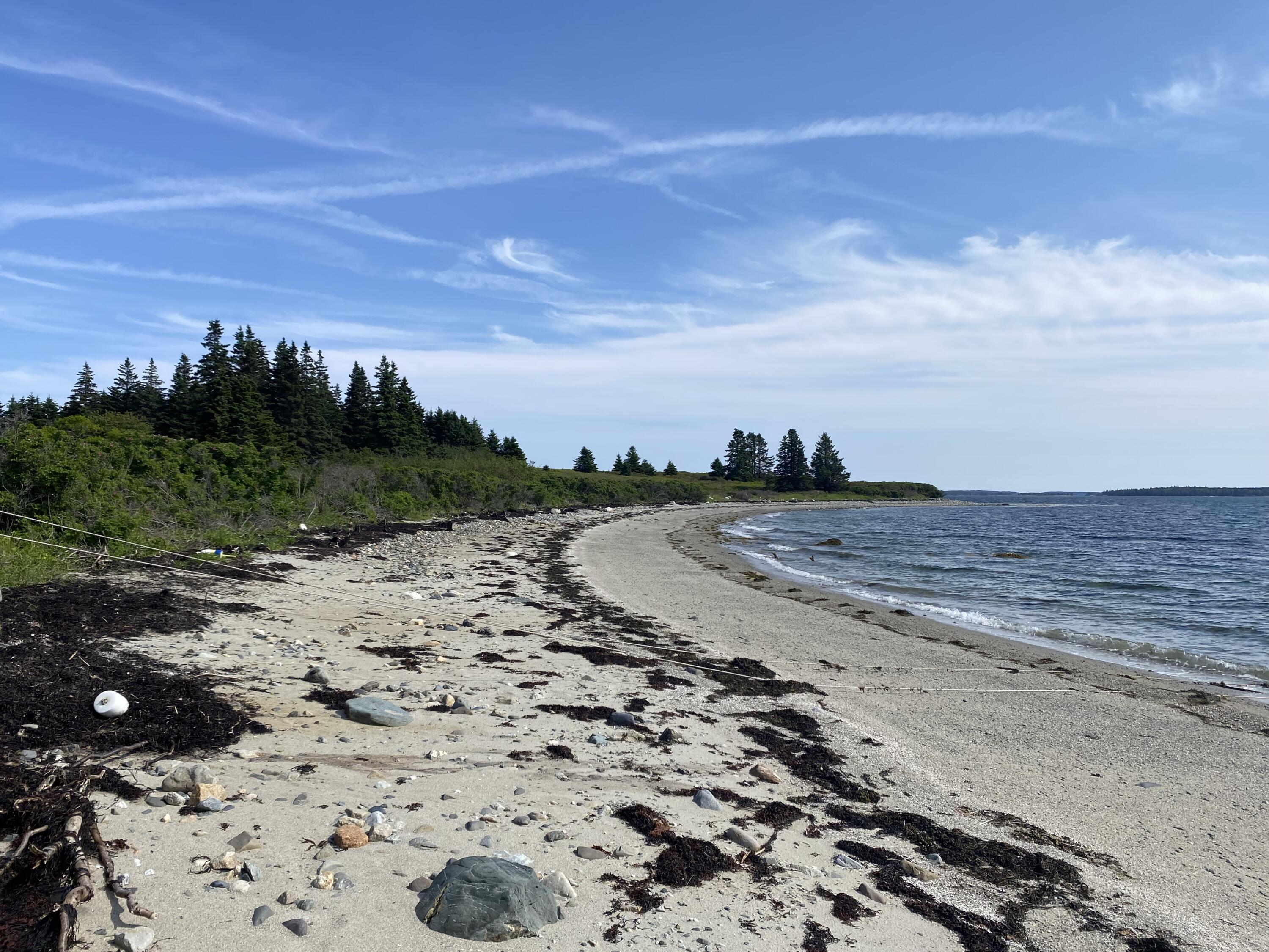 2 Bar Island Island