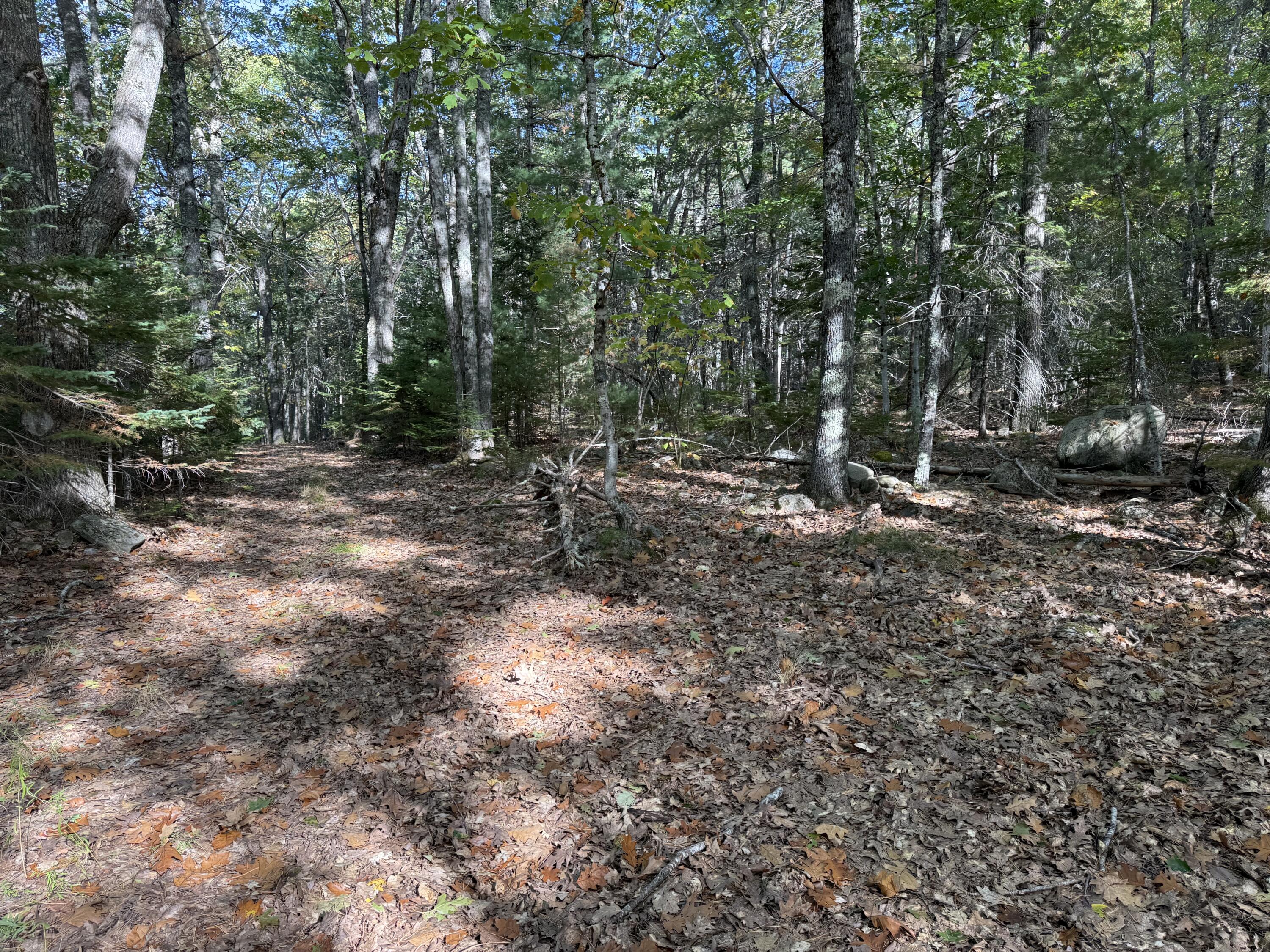 63-3 Oak Grove Road, Mount Desert