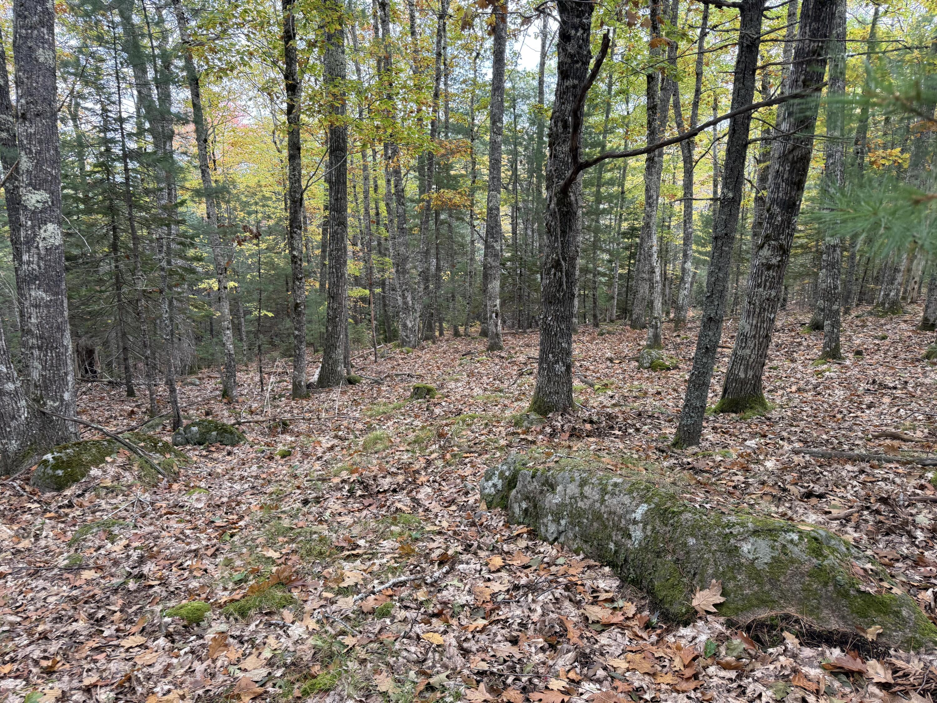 63-3 Oak Grove Road, Mount Desert