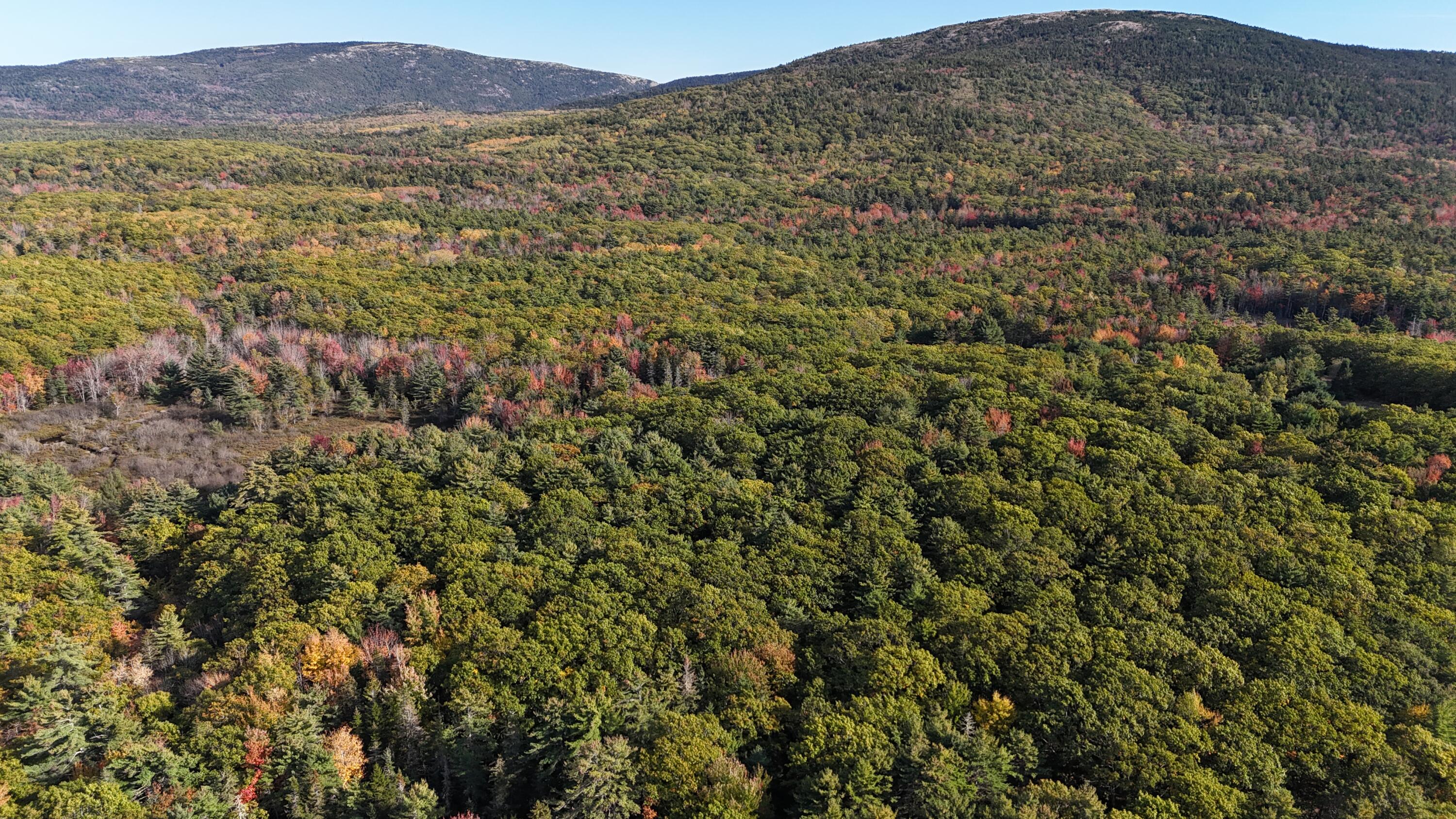 63-3 Oak Grove Road, Mount Desert