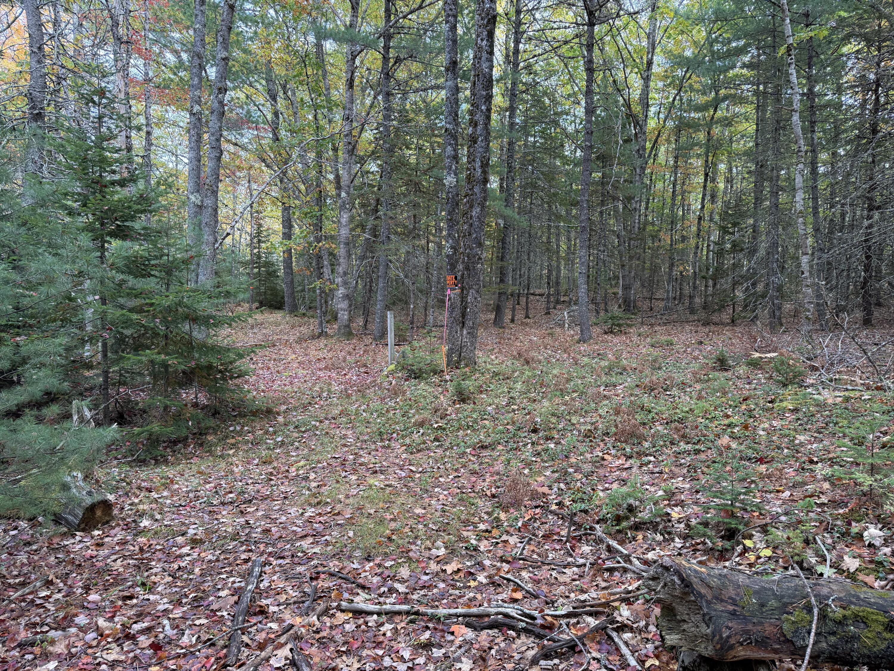 63-3 Oak Grove Road, Mount Desert
