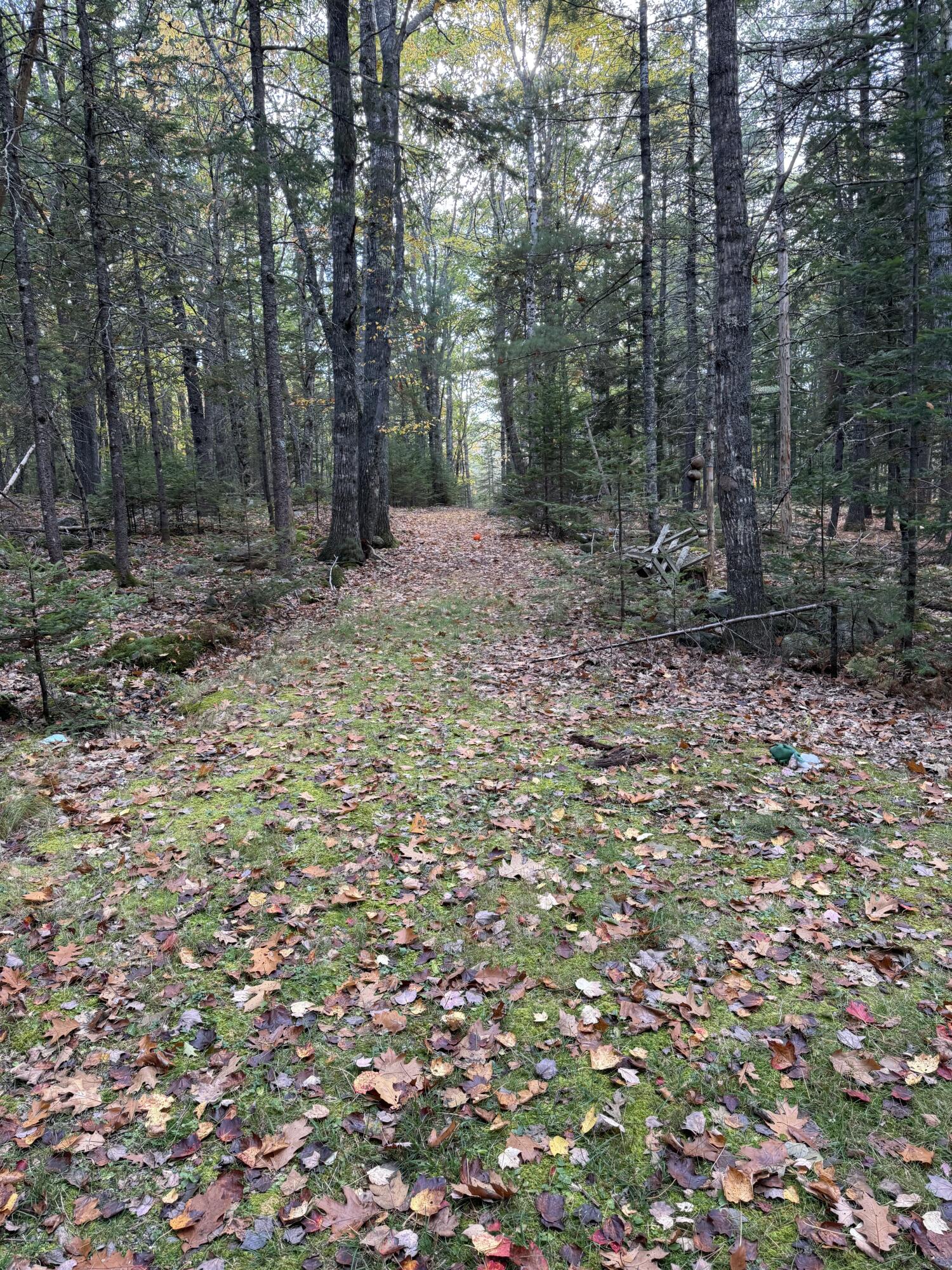 63-3 Oak Grove Road, Mount Desert