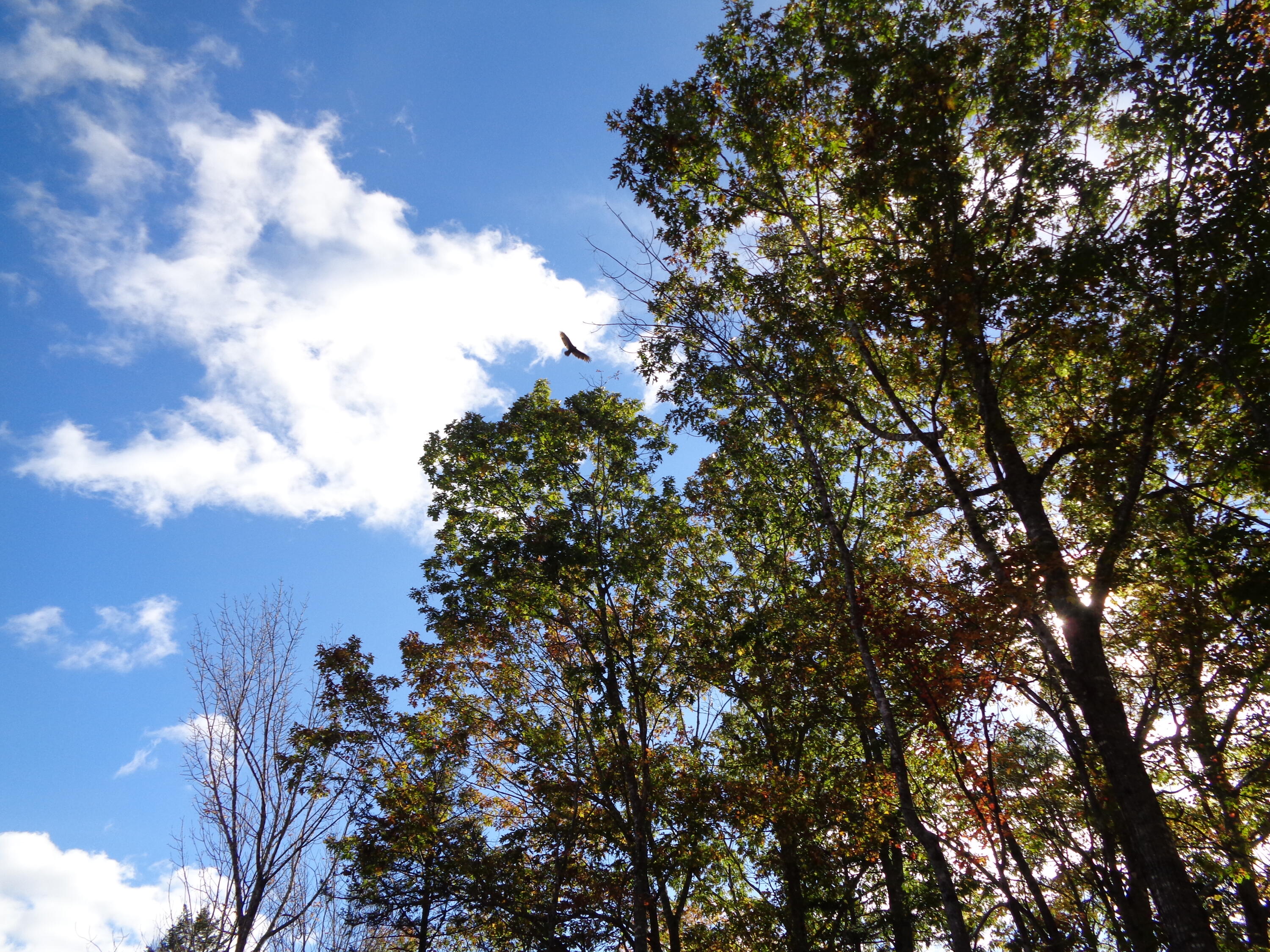 Lot 1-7 Manhattan Way