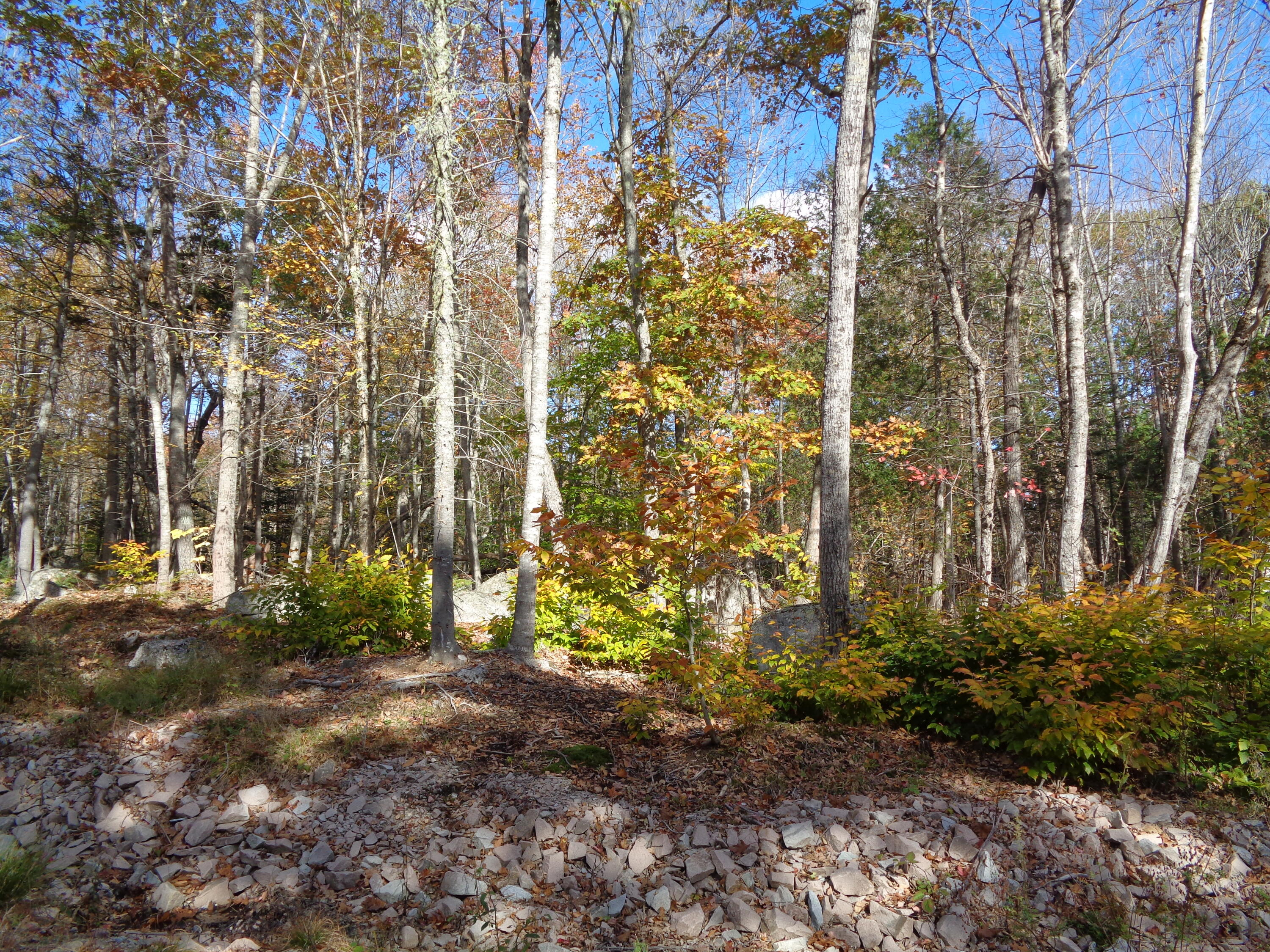 Lot 1-7 Manhattan Way