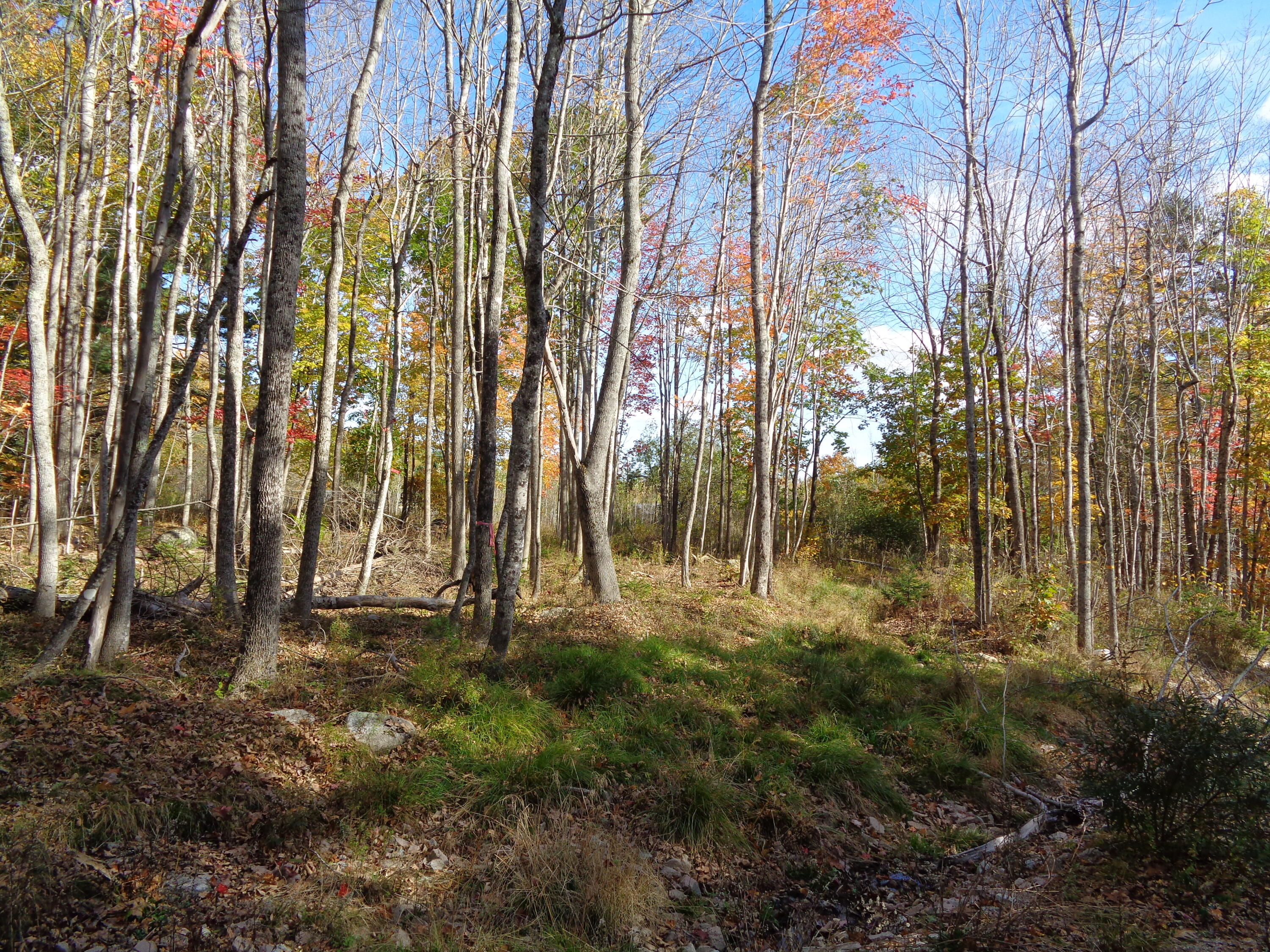 Lot 1-7 Manhattan Way