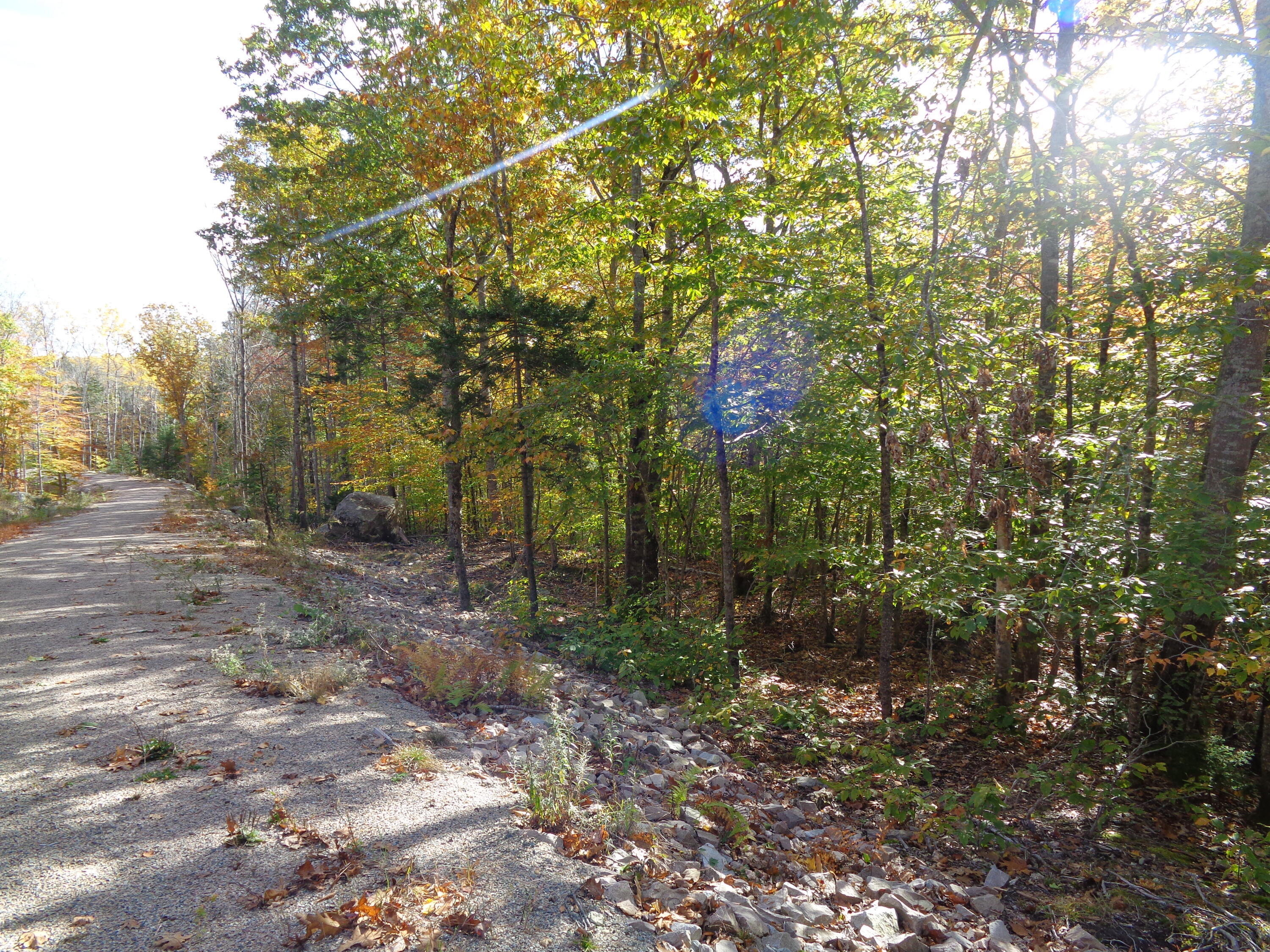 Lot 1-7 Manhattan Way