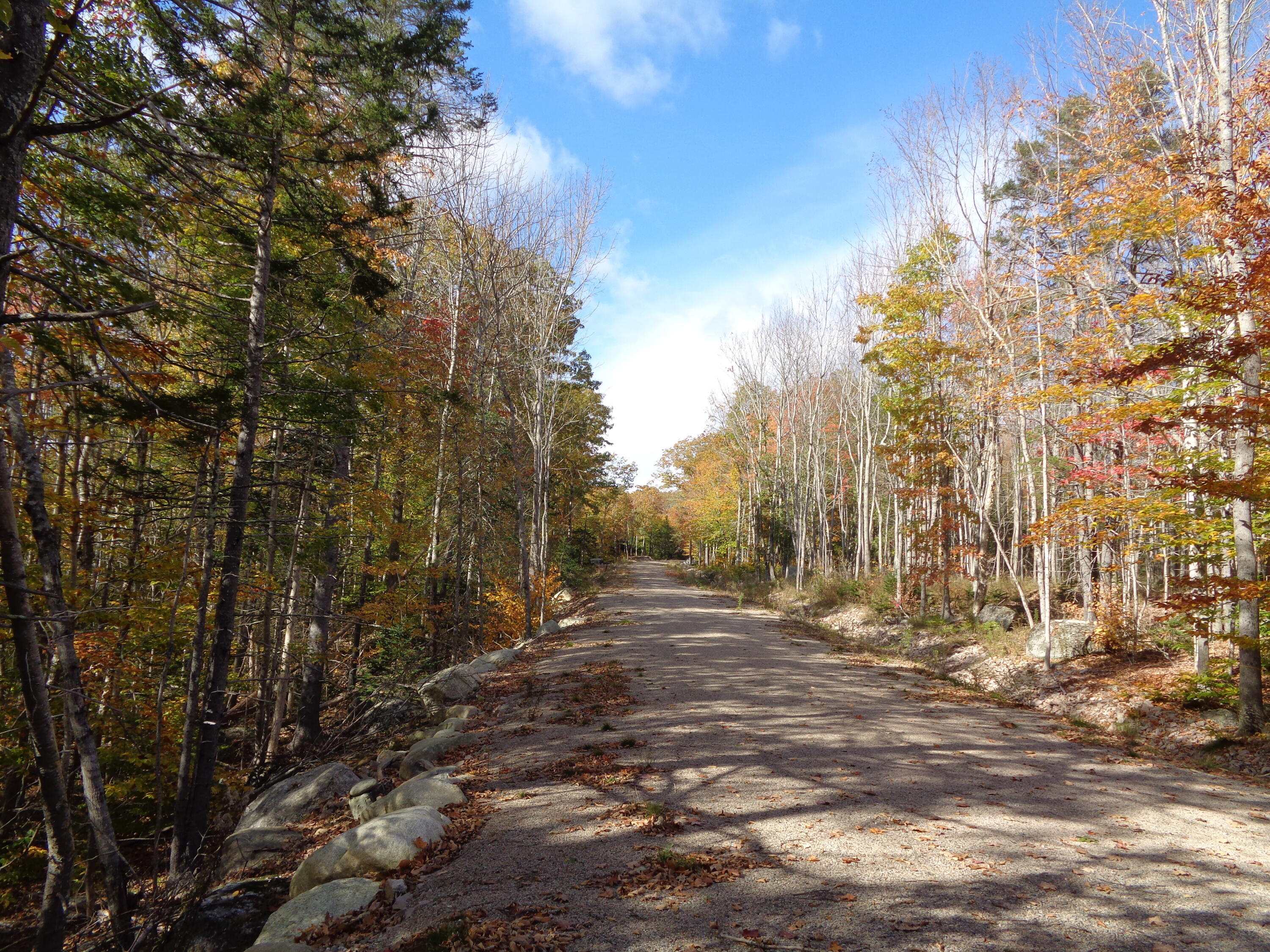 Lot 1-7 Manhattan Way