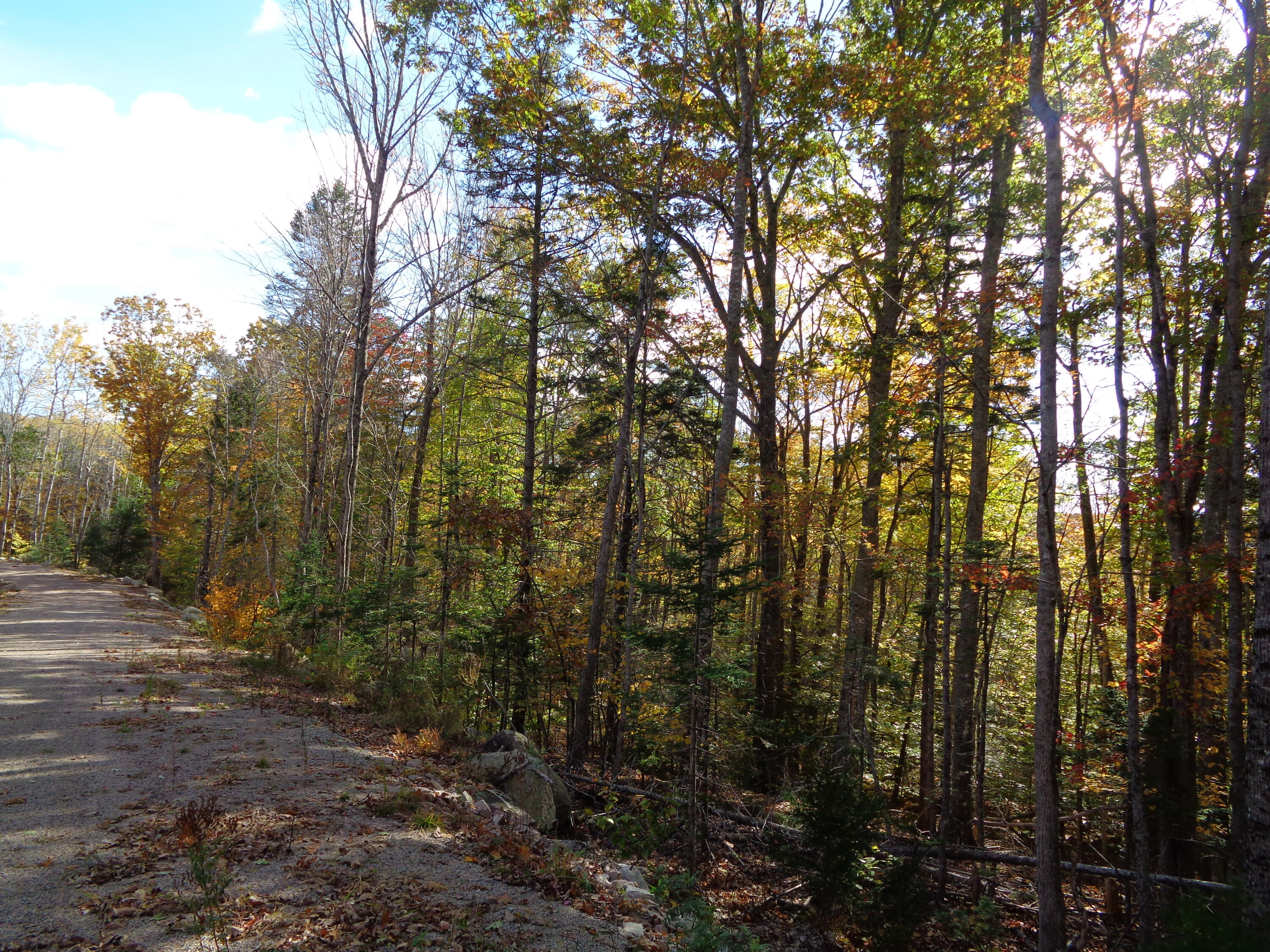 Lot 1-7 Manhattan Way