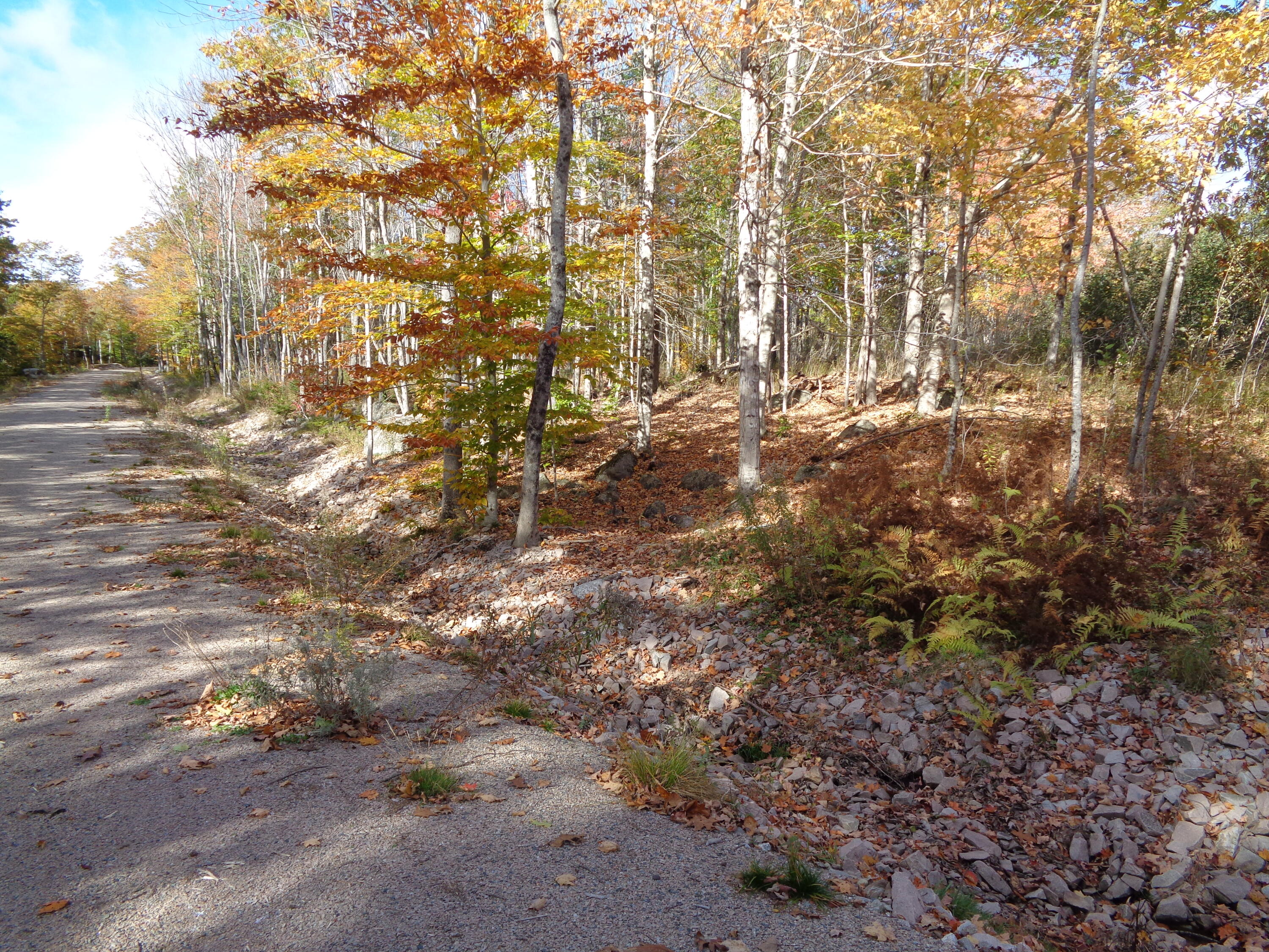 Lot 1-7 Manhattan Way