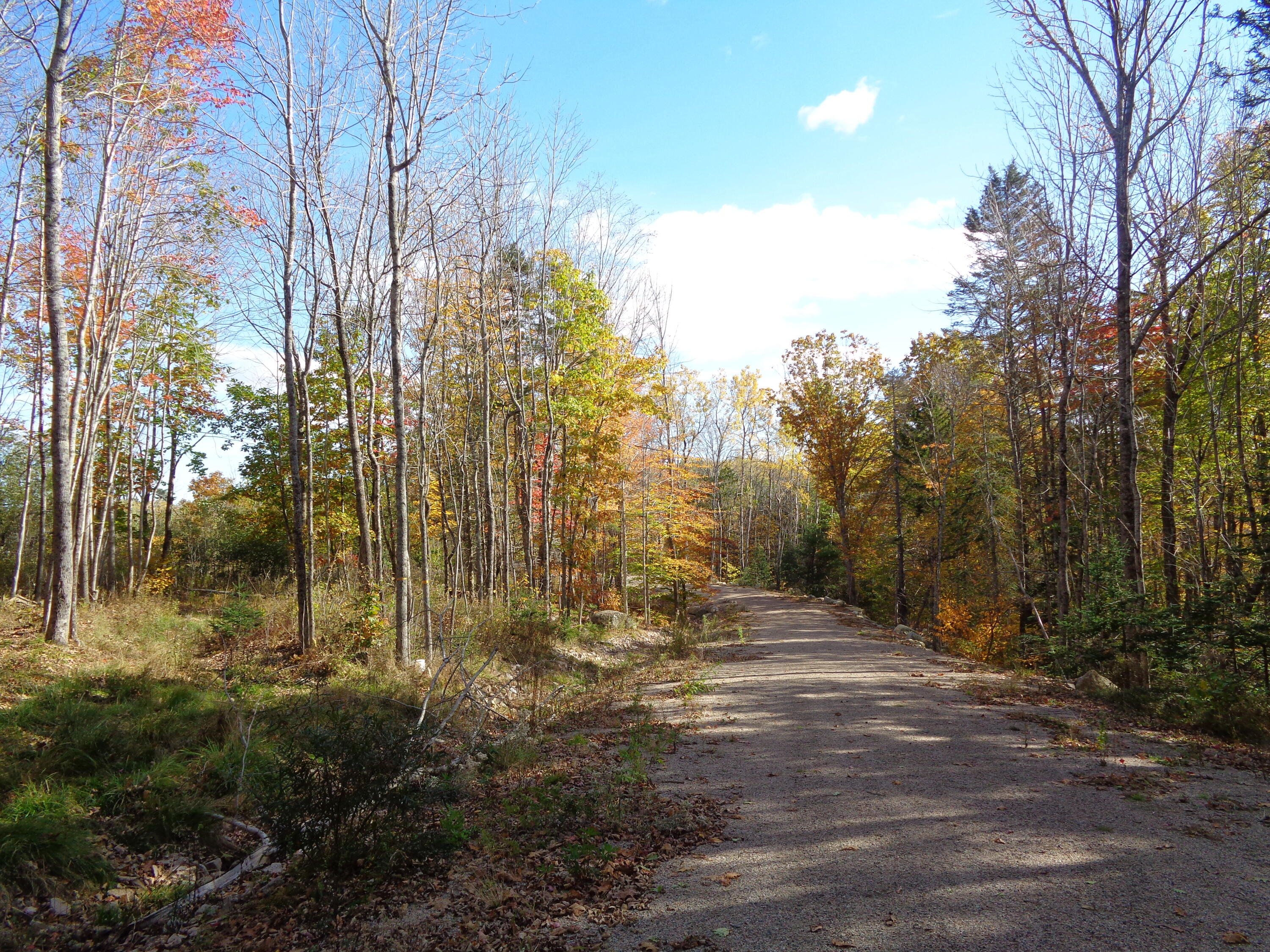 Lot 1-7 Manhattan Way