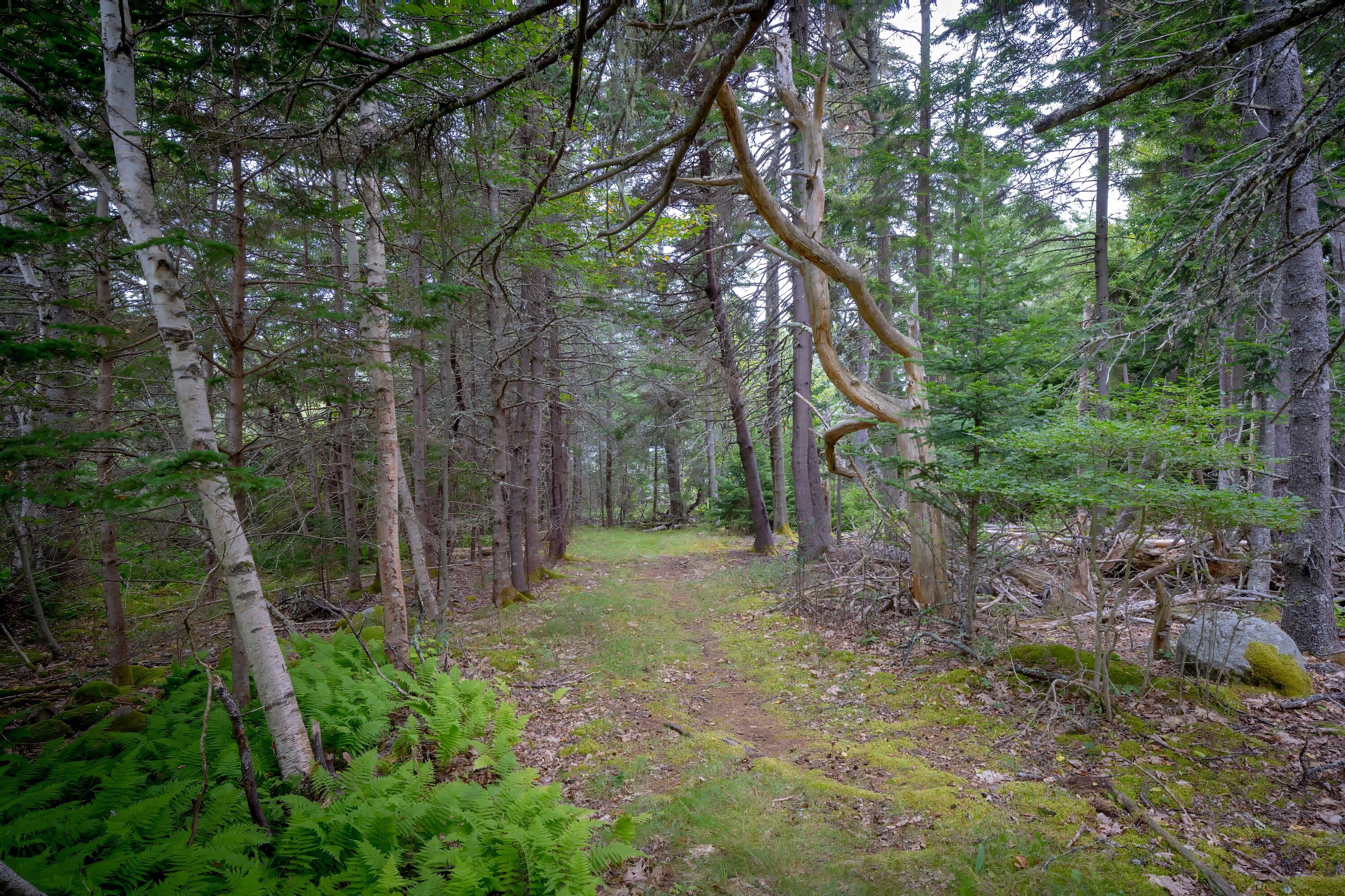 163 Back Road
