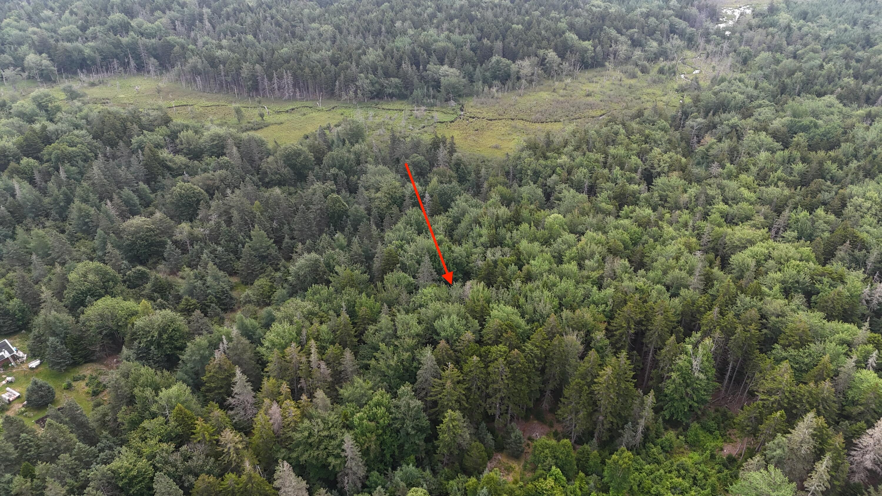 36 Lemoine (map 12 lot 36) Road