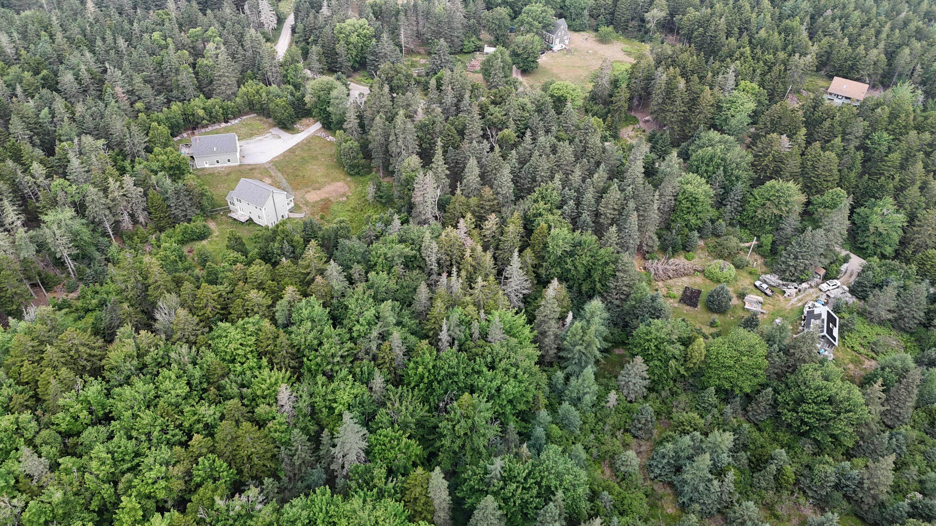36 Lemoine (map 12 lot 36) Road