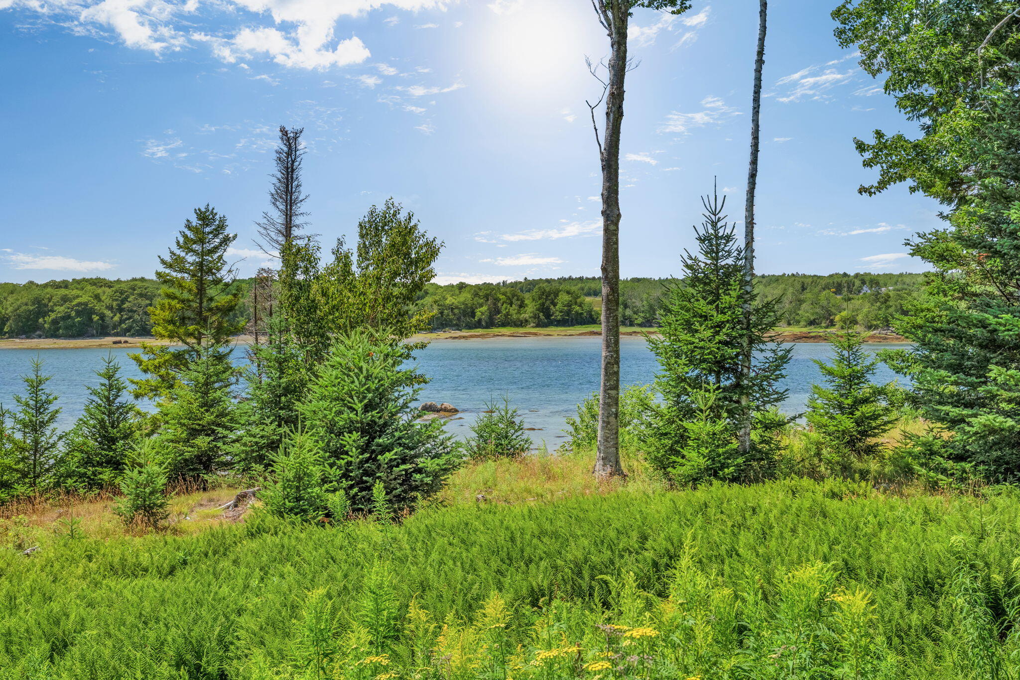 60 Moose Run