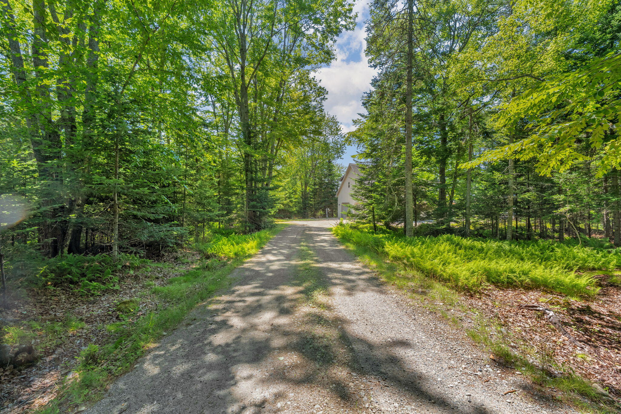 60 Moose Run